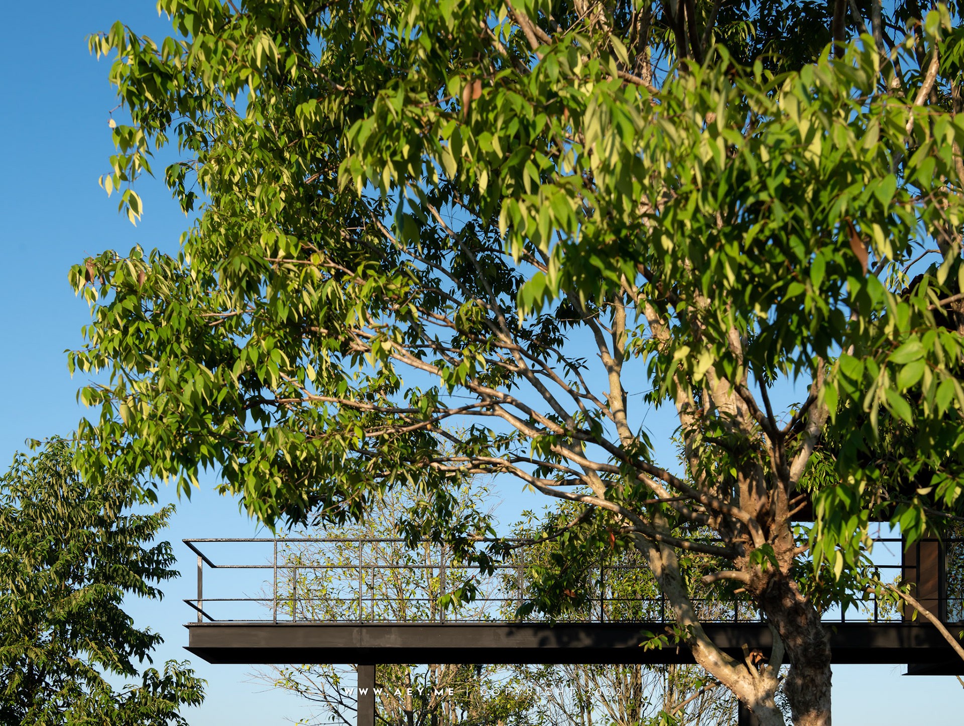 Suan Sang Thien Siriboon สถานปฏิบัติธรรมสวนแสงเทียนศิริบูรณ์