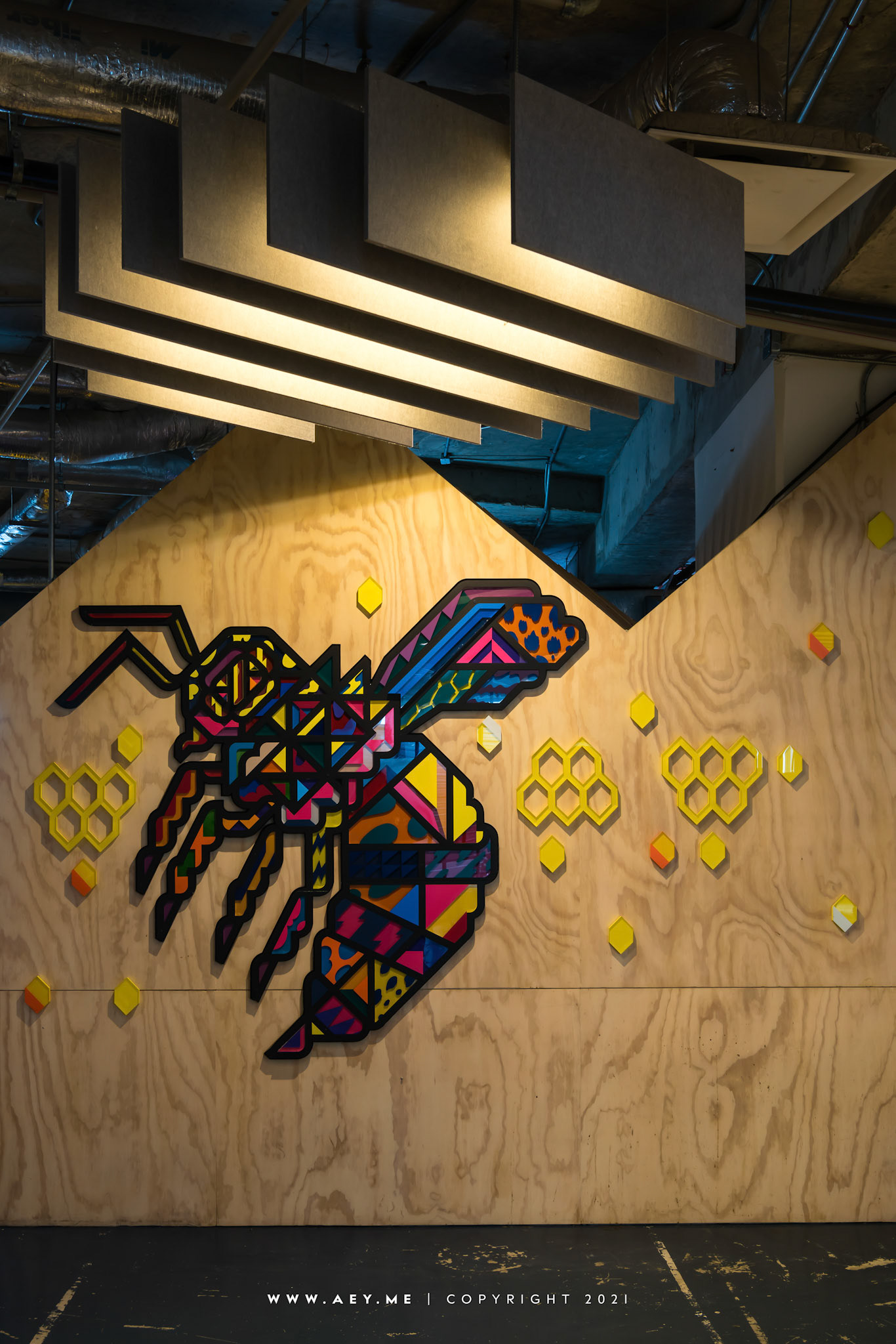 Ananda Campus, FYI Center