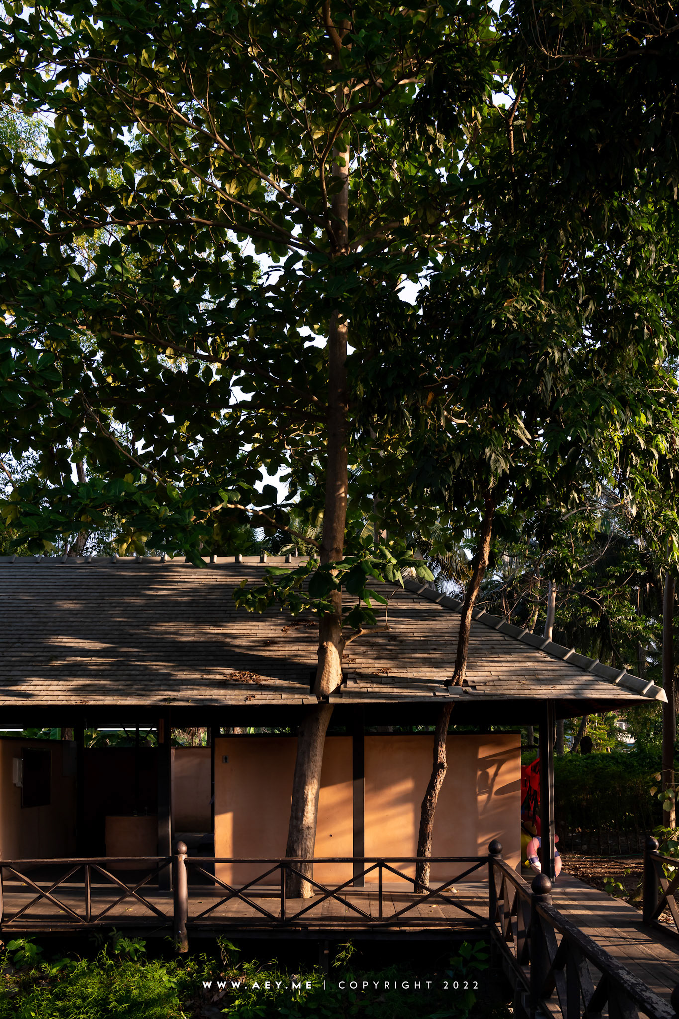 Somdul Agroforestry Home