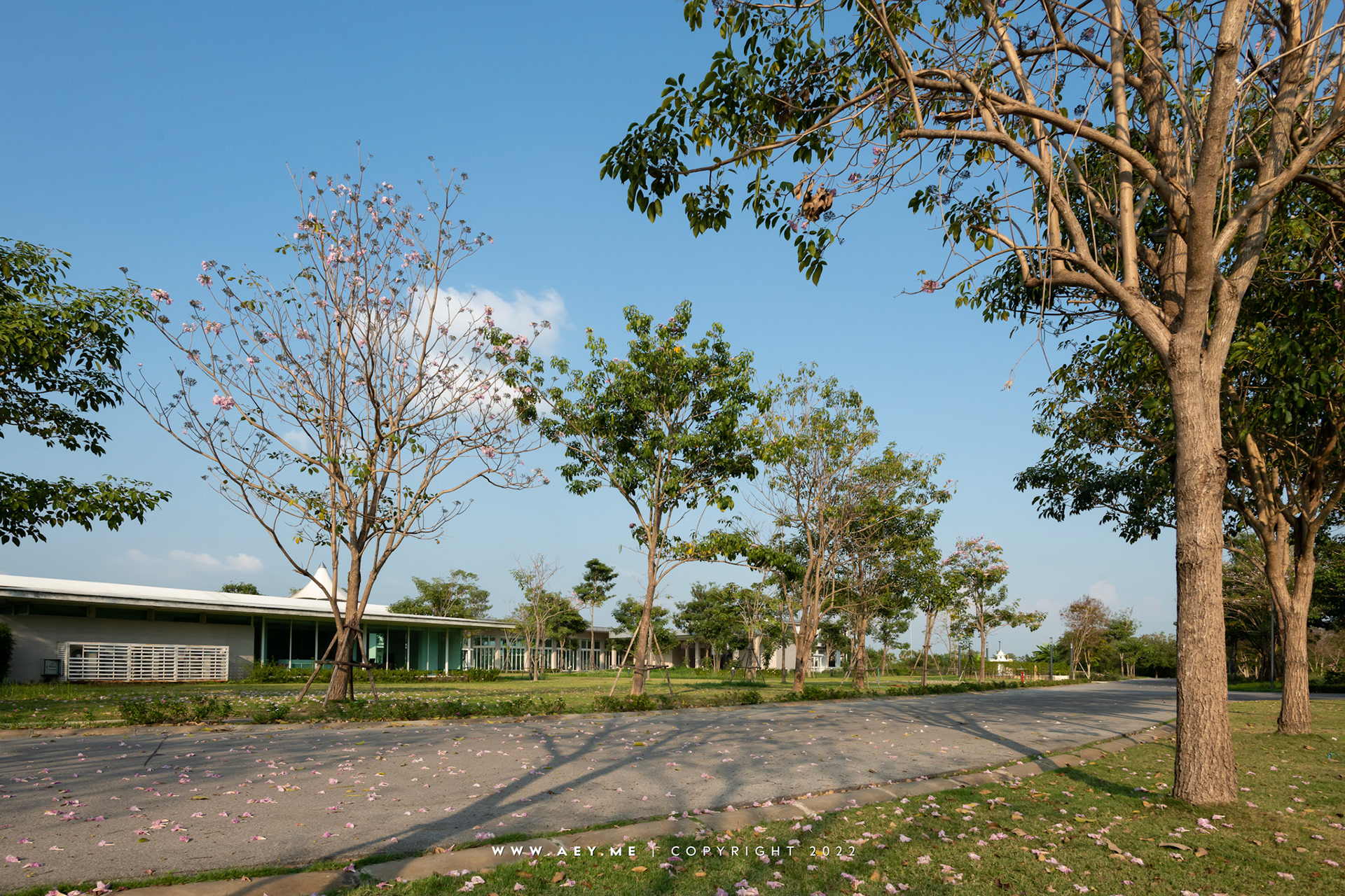 Pink Park Village บ้านพิงพัก