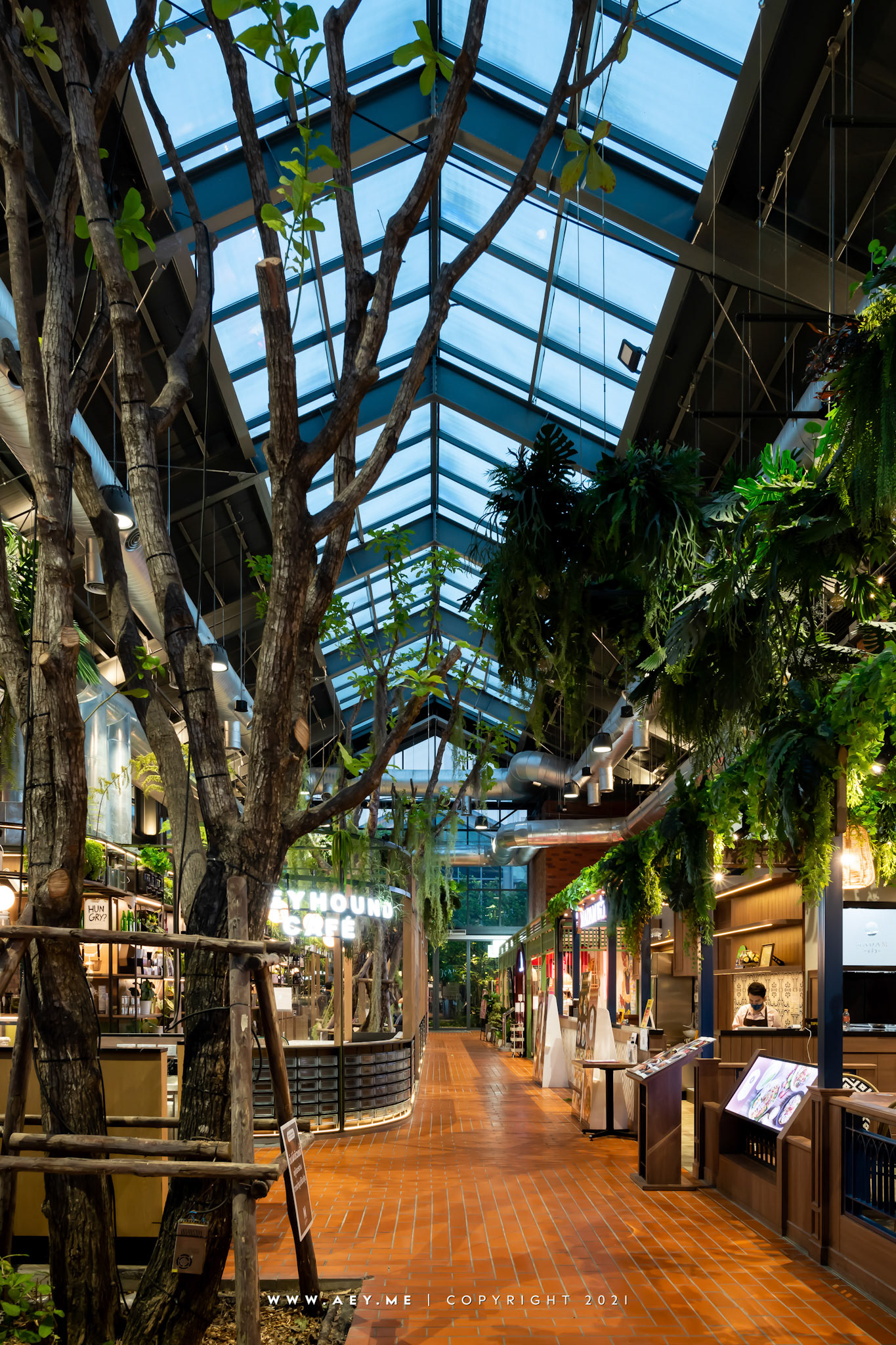 The Mall Lifestore Ngamwongwan เดอะมอลล์ ไลฟ์สโตร์ งามวงศ์วาน