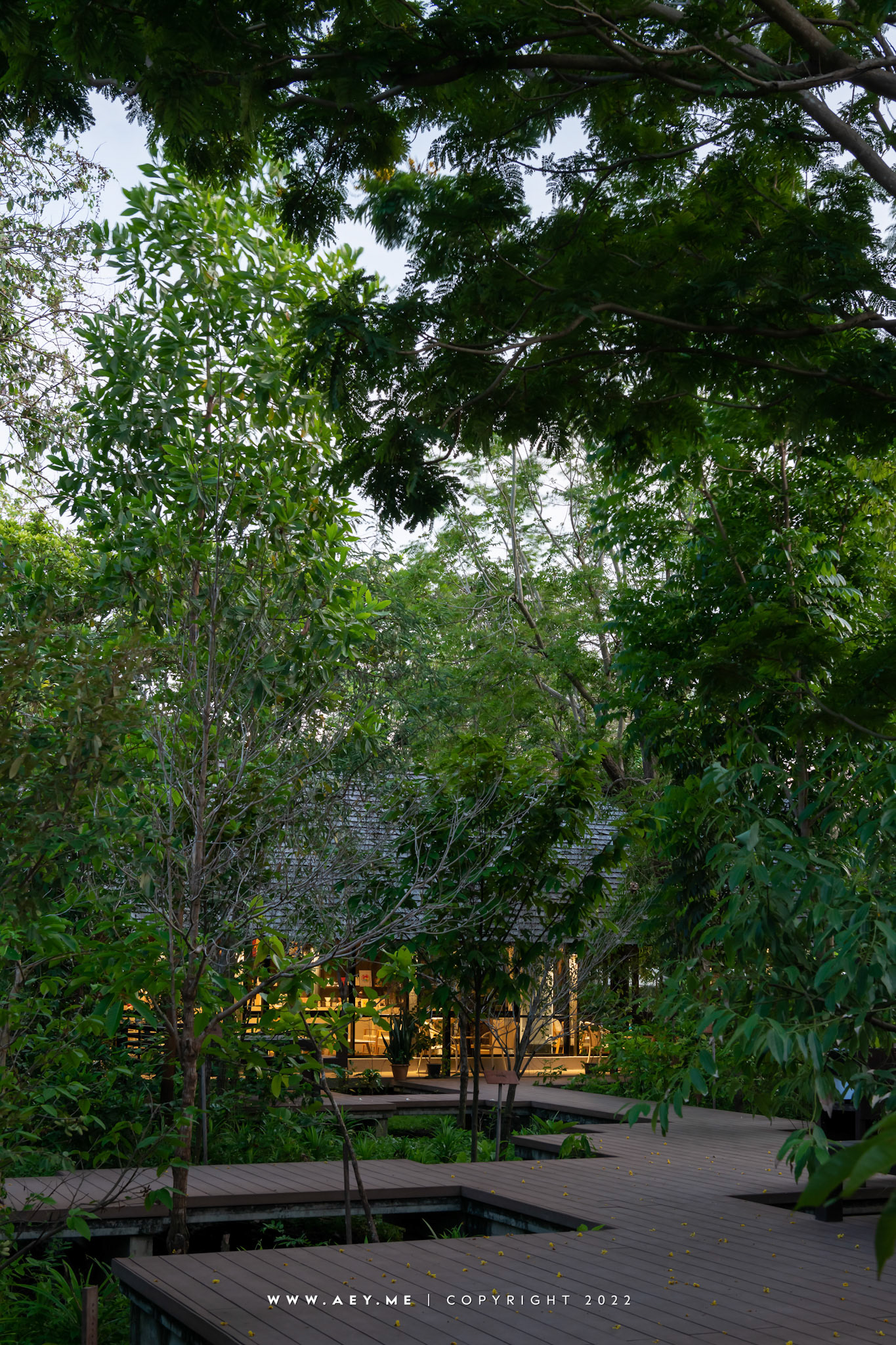 Somdul Agroforestry Home