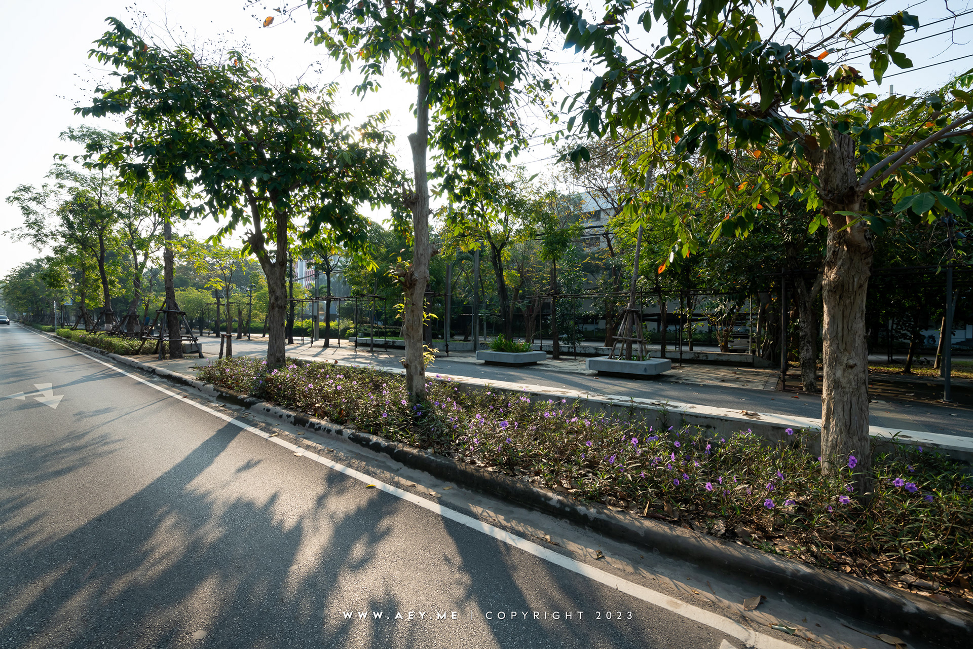 Mahidol University, Salaya Campus