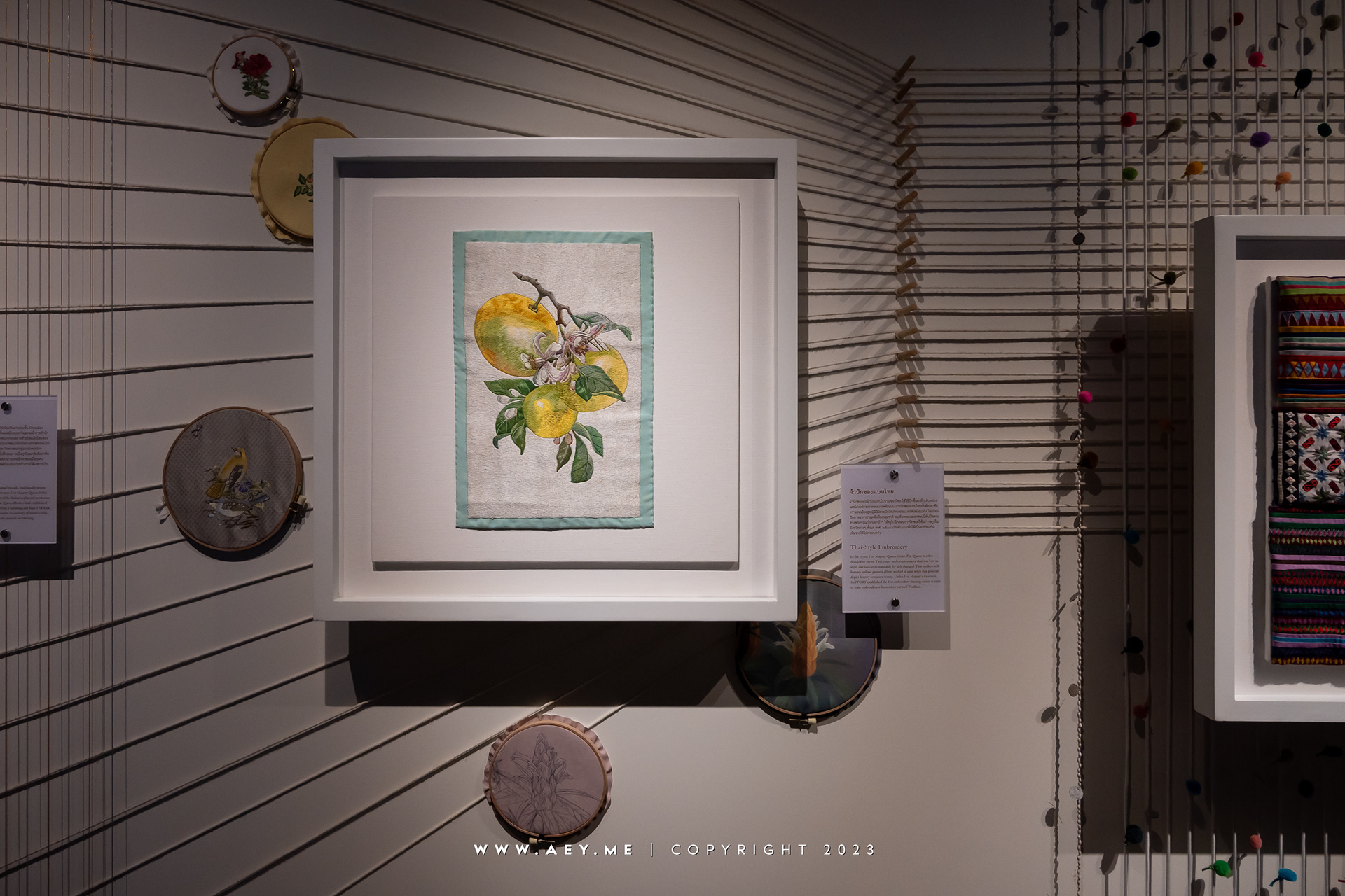 Woven Dialects Exhibition
