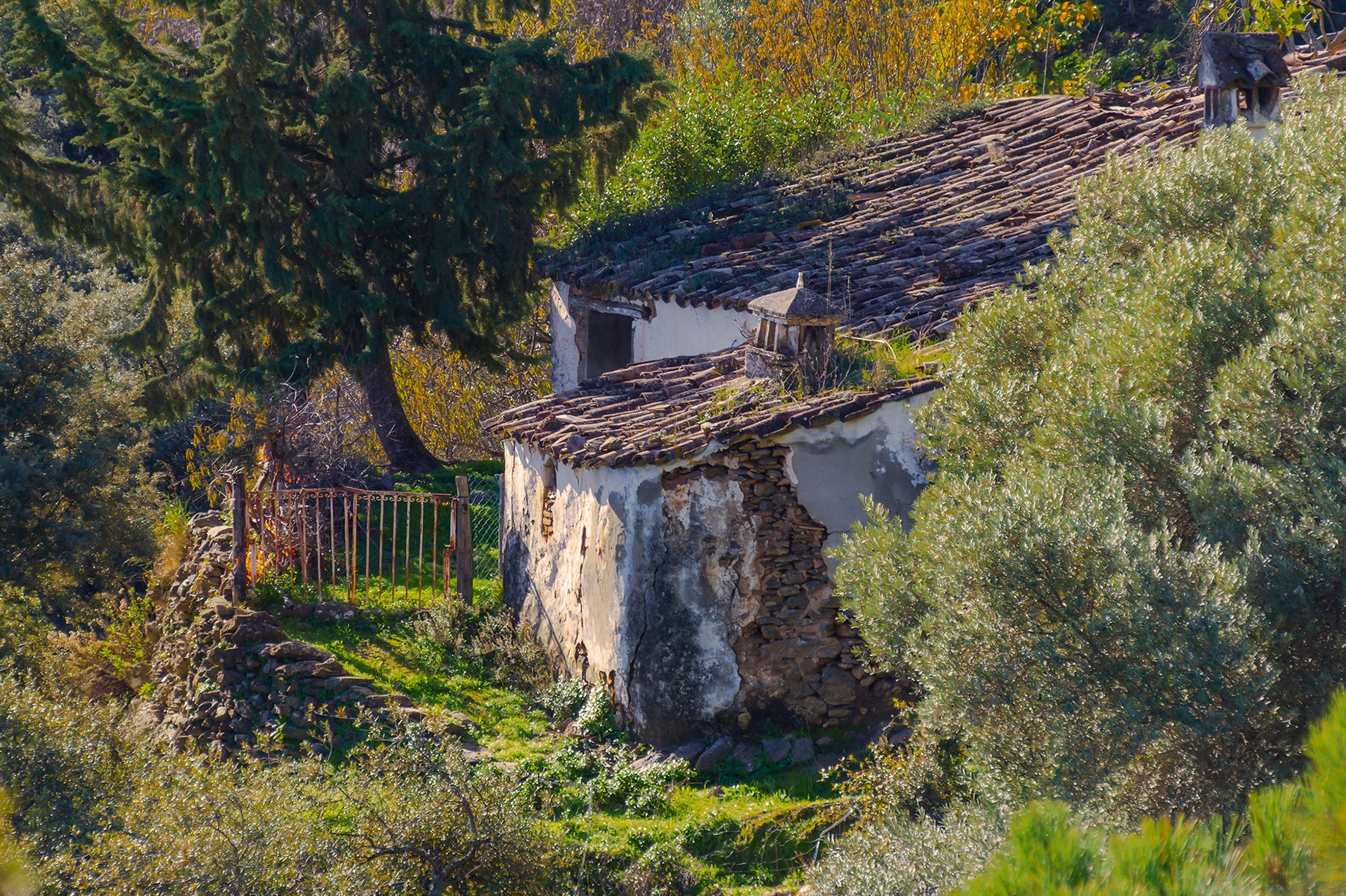 Rural e Historia