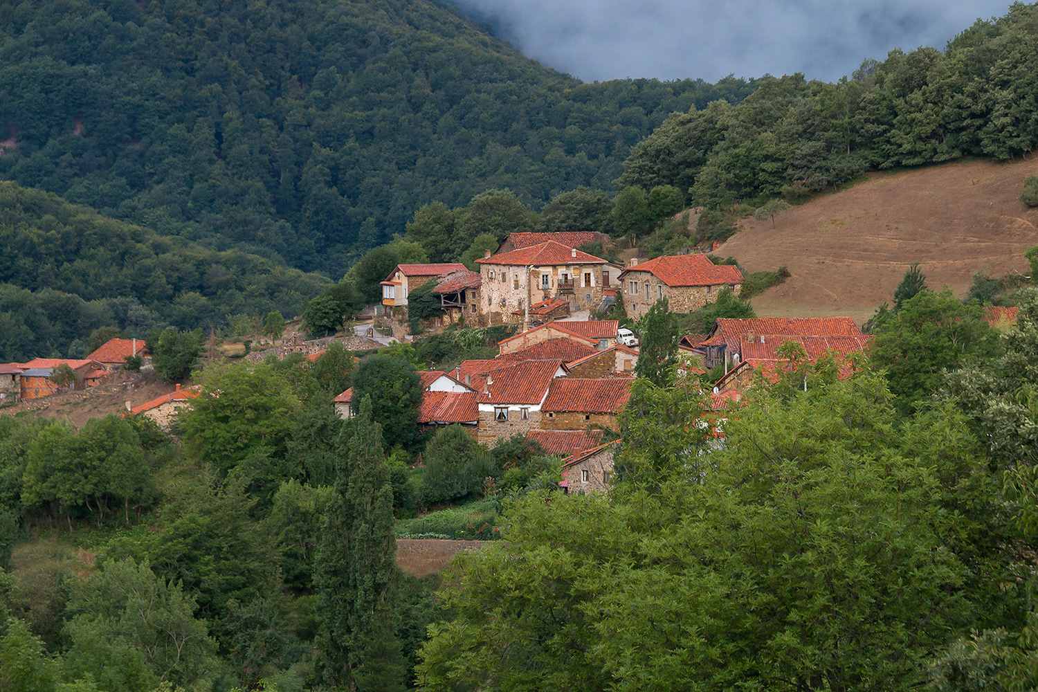 Tesoro lebaniego