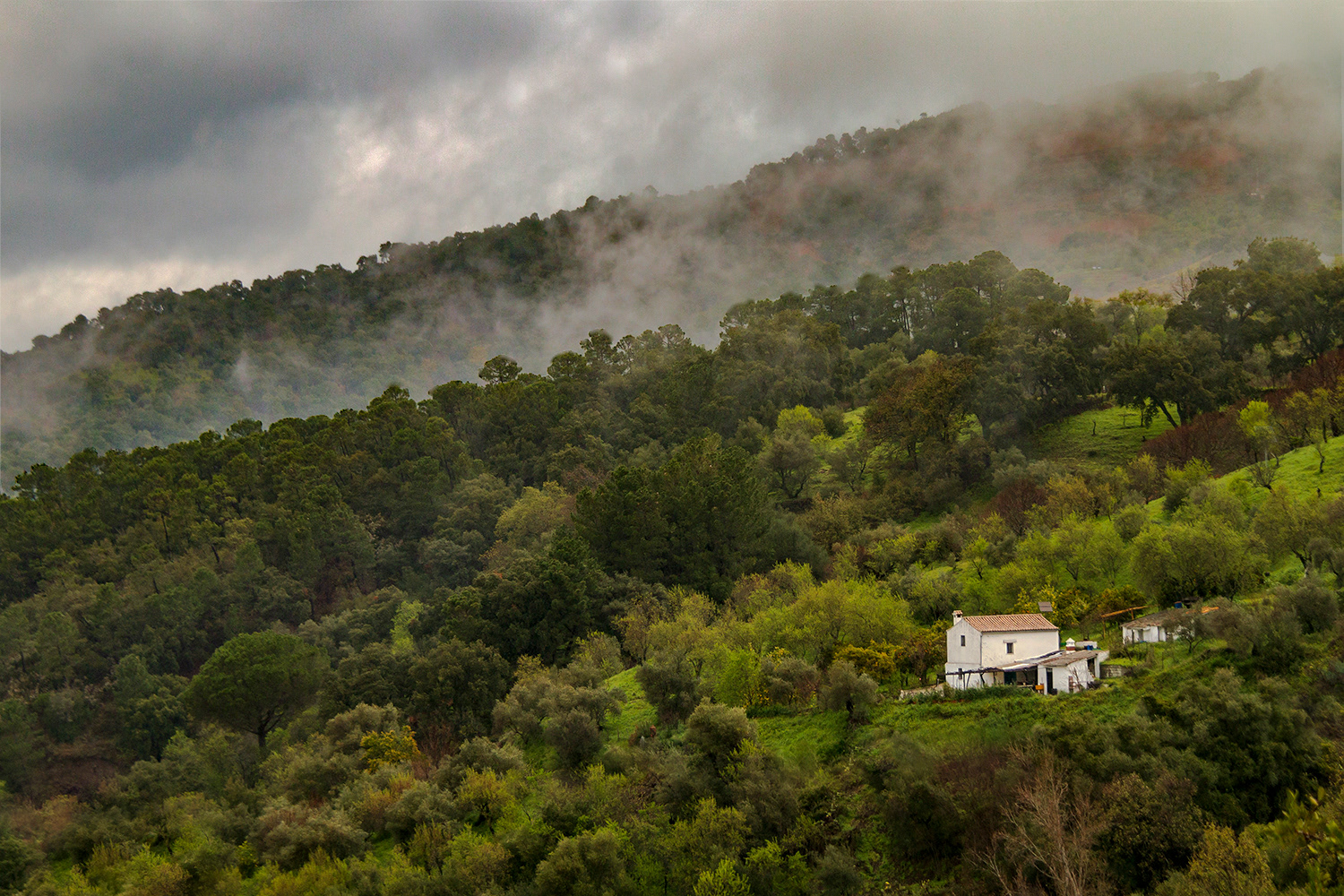 El cortijo Andaluz