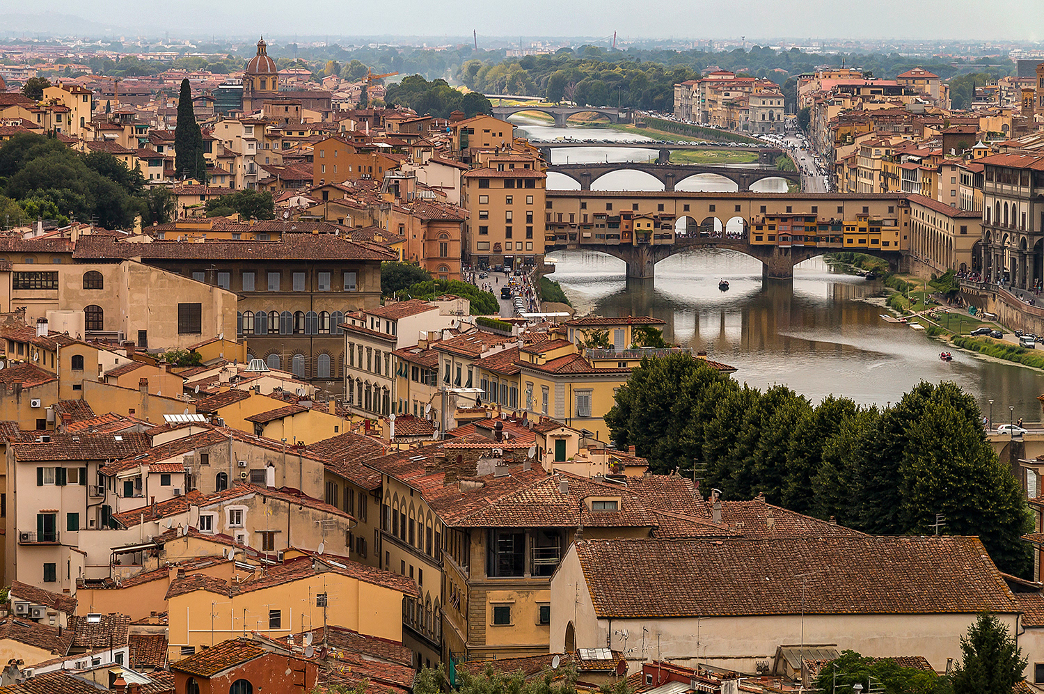 Florencia