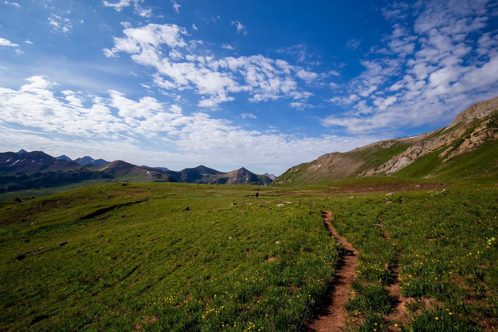 The hike after Hasley Basin was mostly a sprawling open view painted by lush green grass and stunning blooms of wildflowers.
