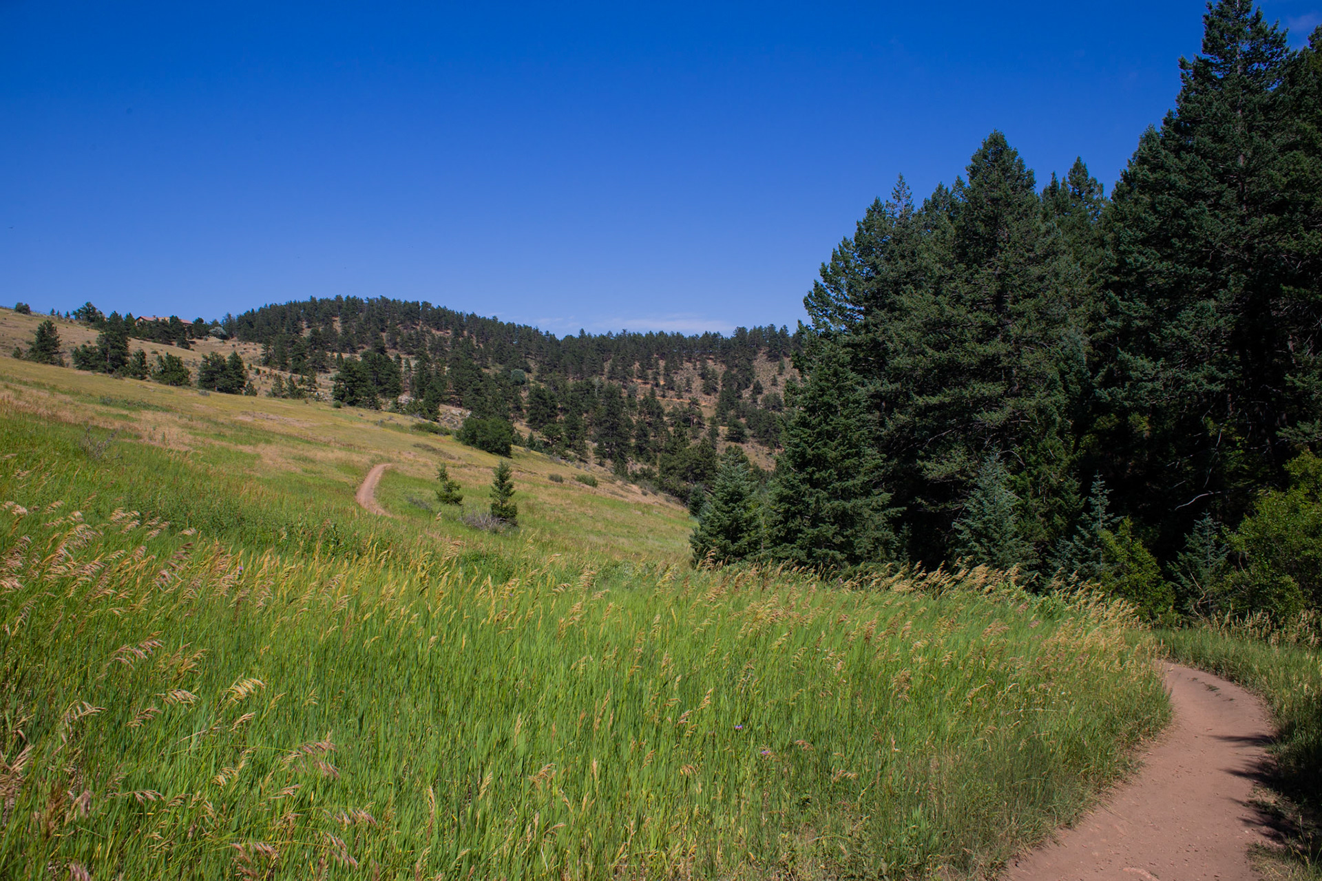 Apex Park.