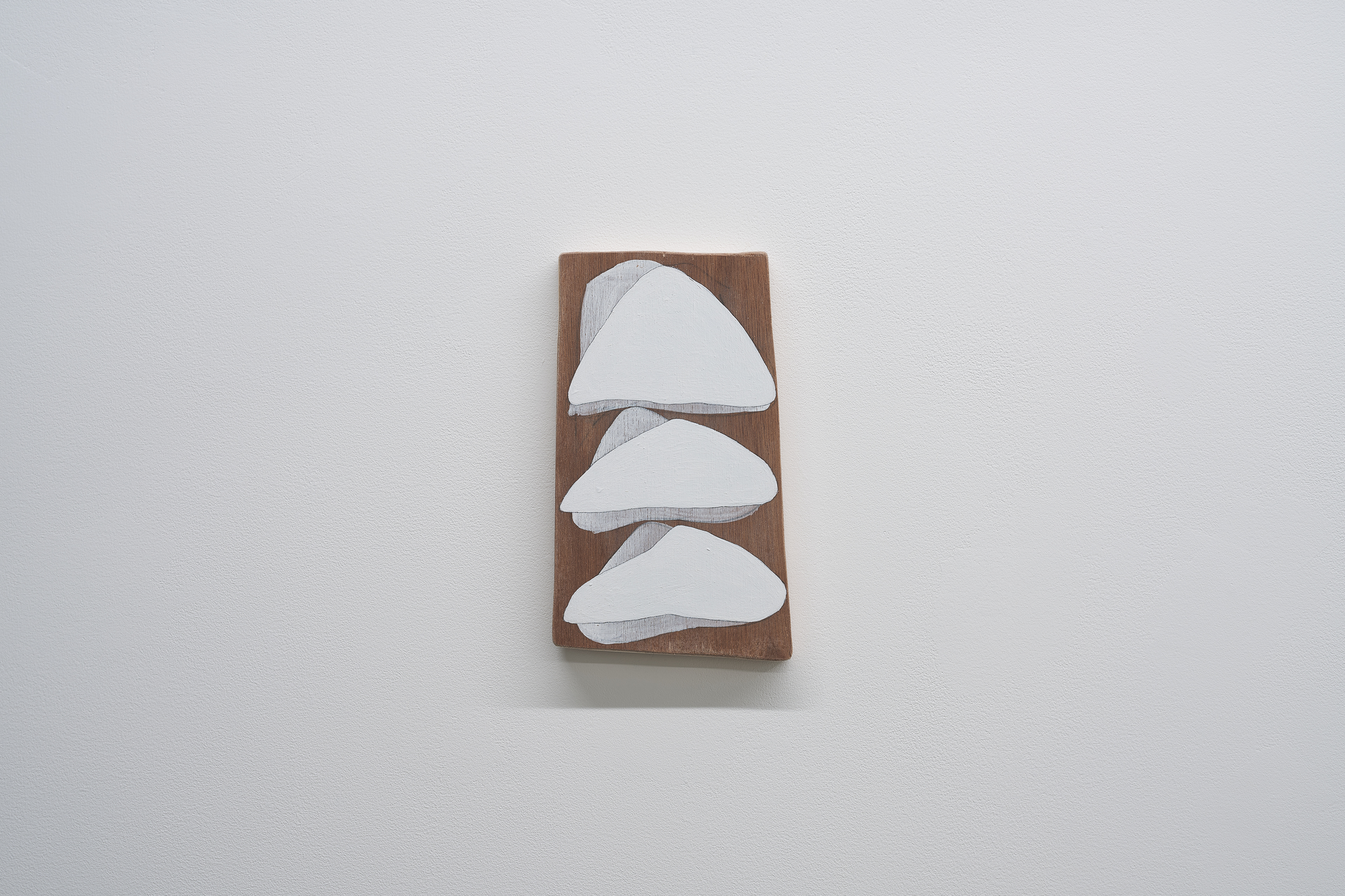 C-179/2025/Acrylic, pencil, gesso, plywood,wood/208×122×16mm