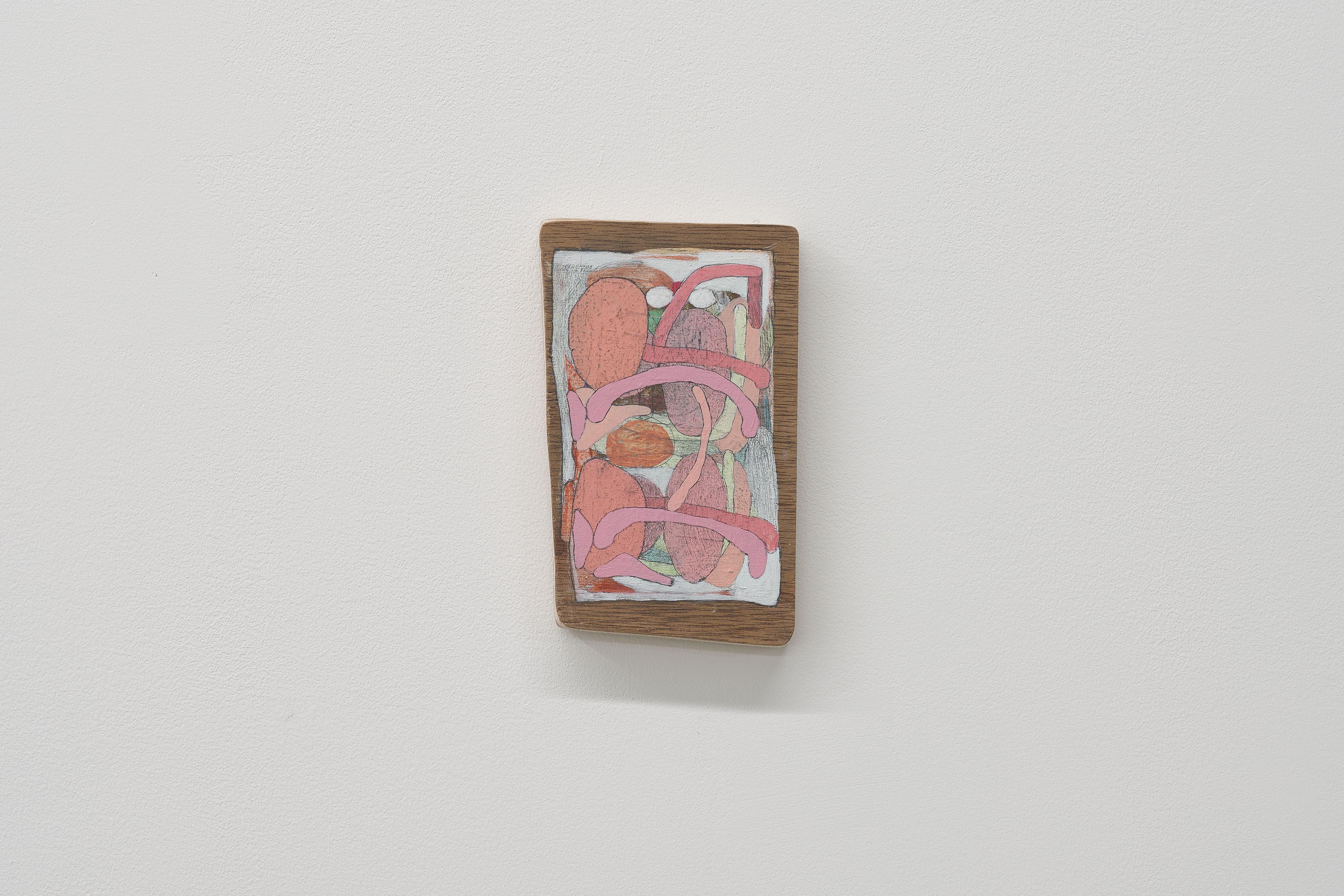 C-163/2025/Acrylic, pencil, gesso, plywood,wood/156×96×15mm