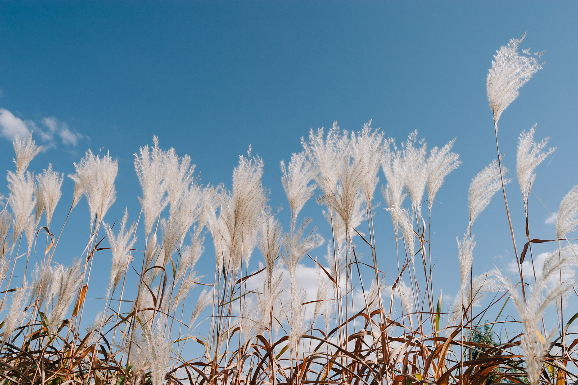 Près des jardins de Monet à Vernon