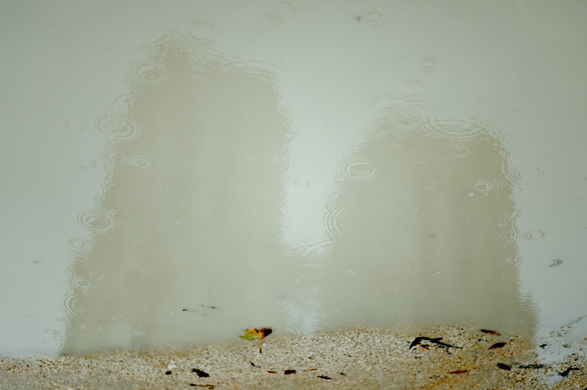 Notre-Dame sous la pluie