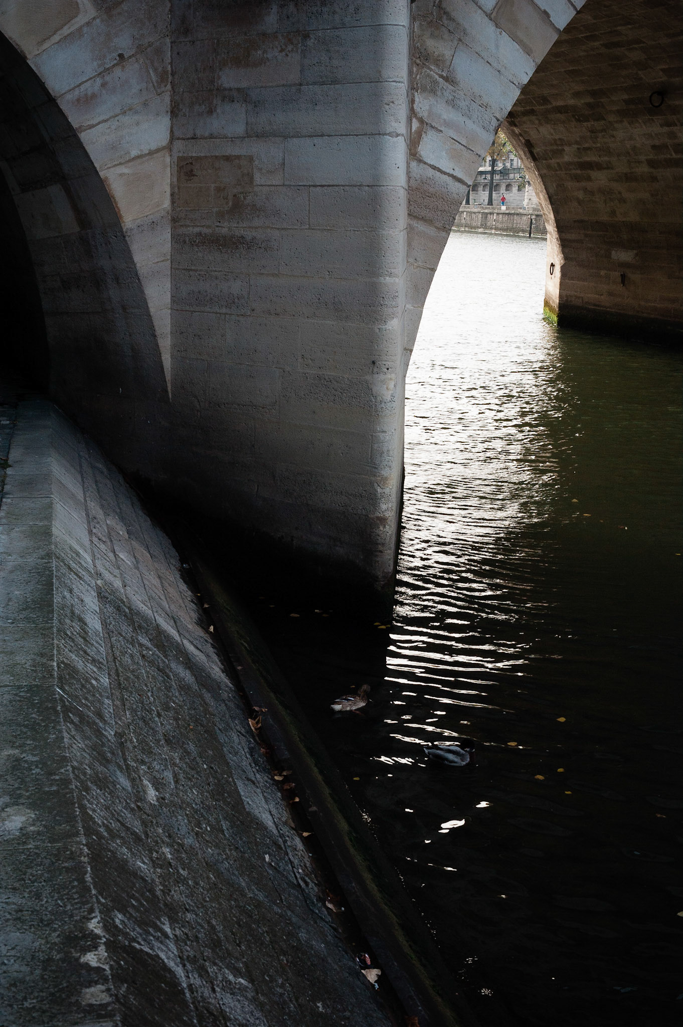 The Pont-Neuf from the Quai du Vert-Galant