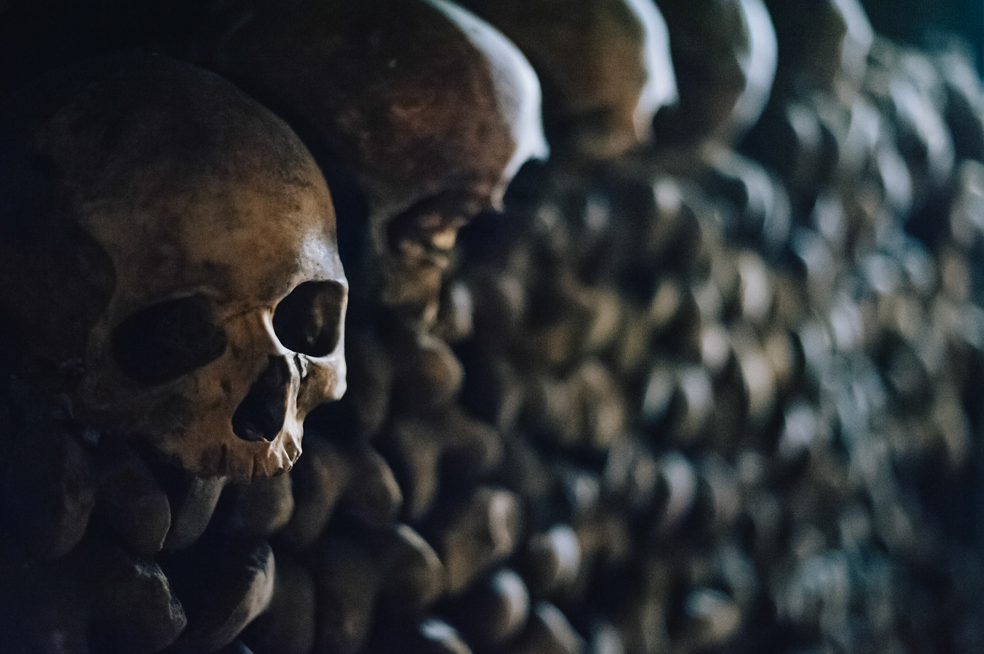 Skulls in the catacombs