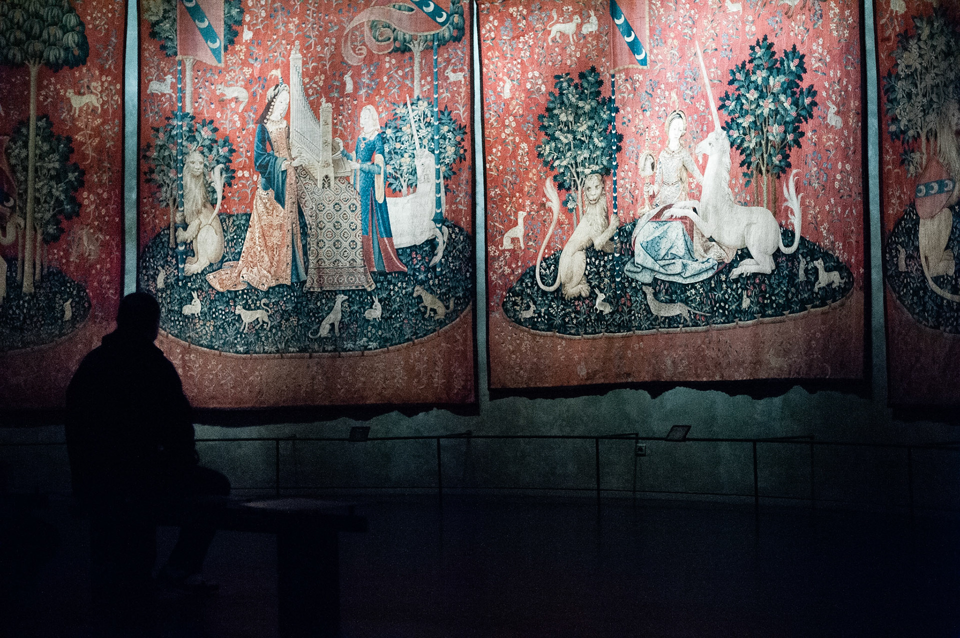 Tapisserie de La Dame à la licorne, Musée de Cluny