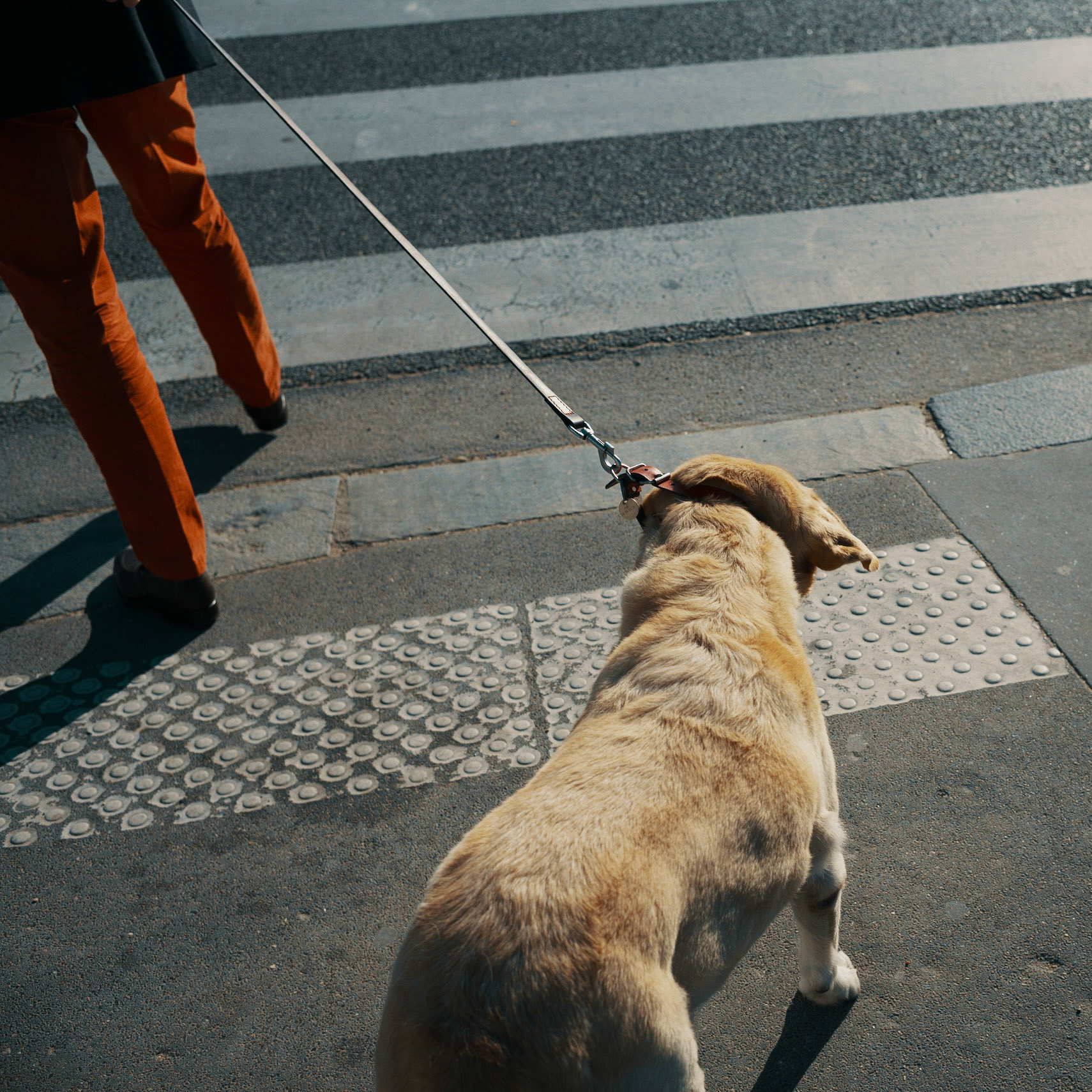 Quai de l'Archevêché