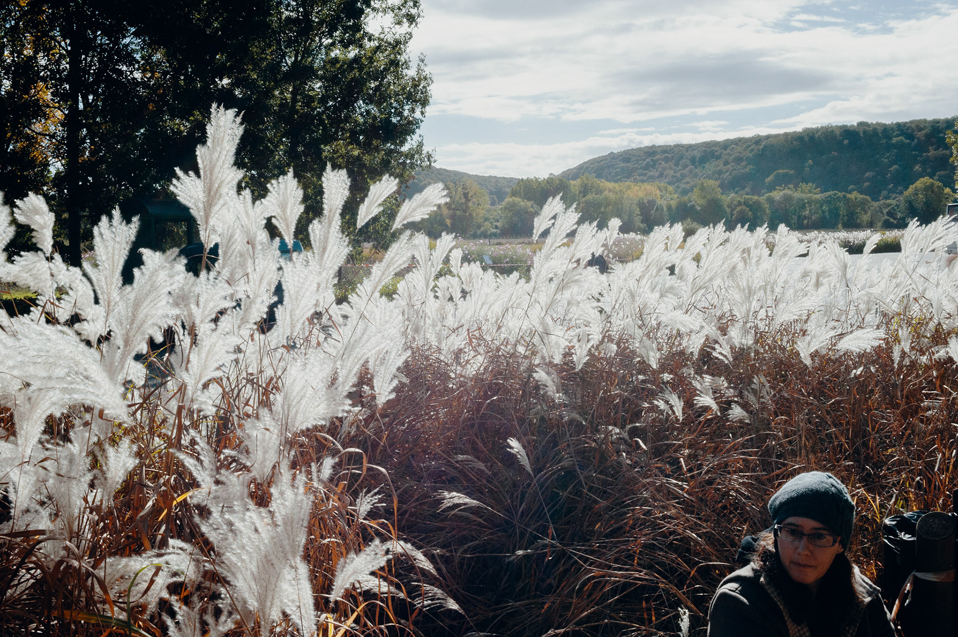 Susan devant les mauvaises herbs à Giverny