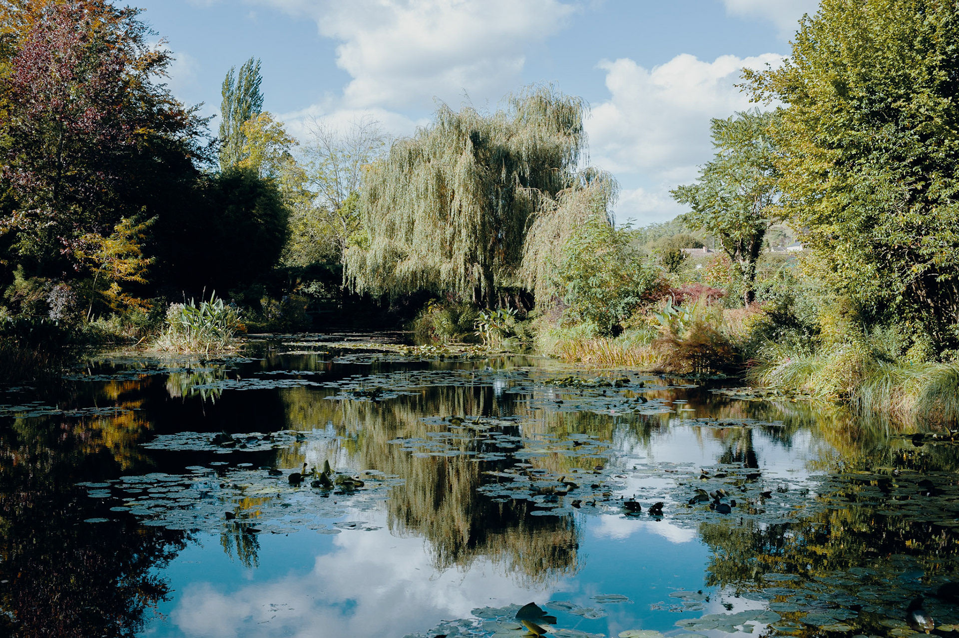 Monet’s famous lily pond on a perfect day.