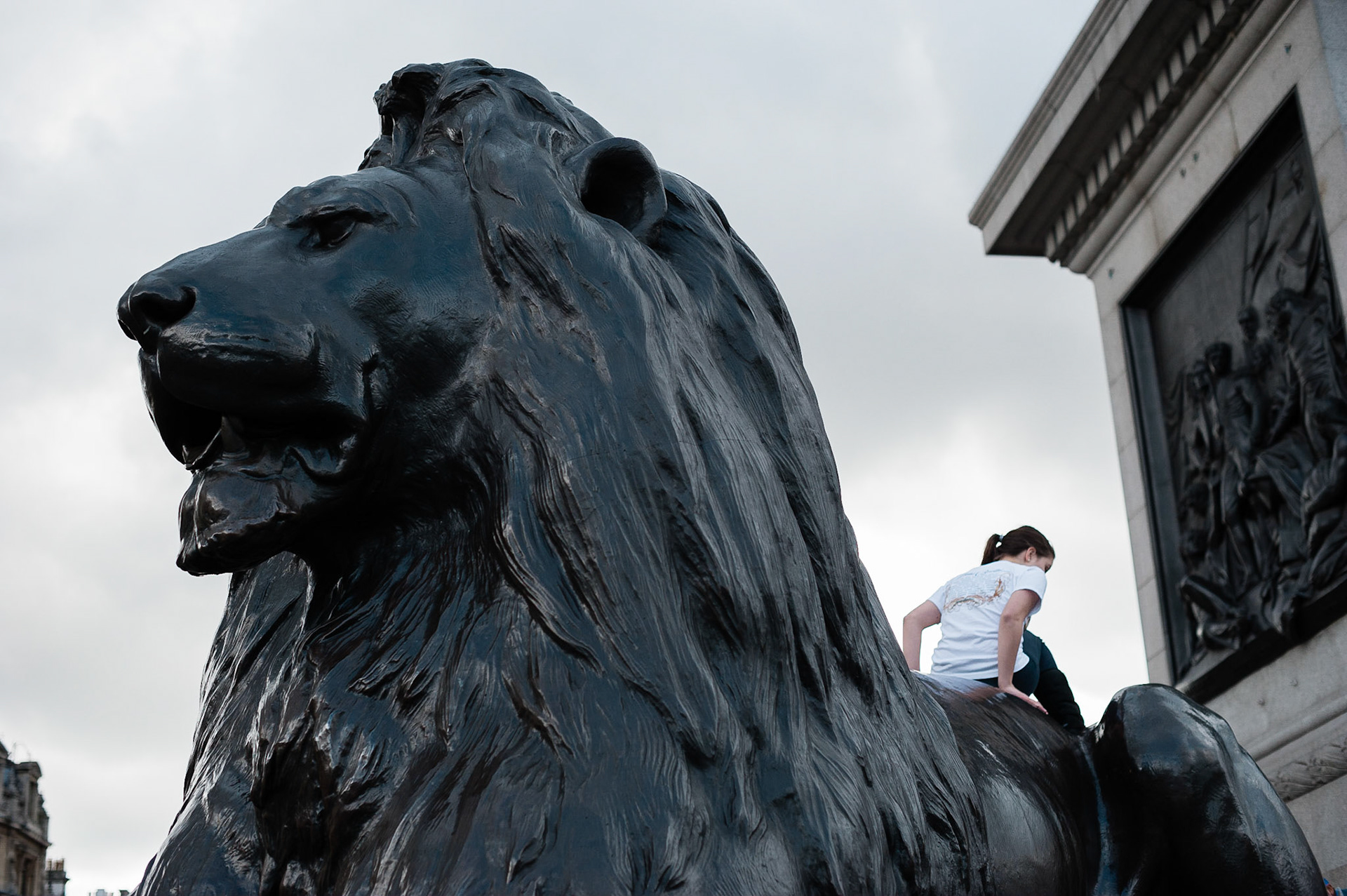Lions are growing at Trafalgar Square