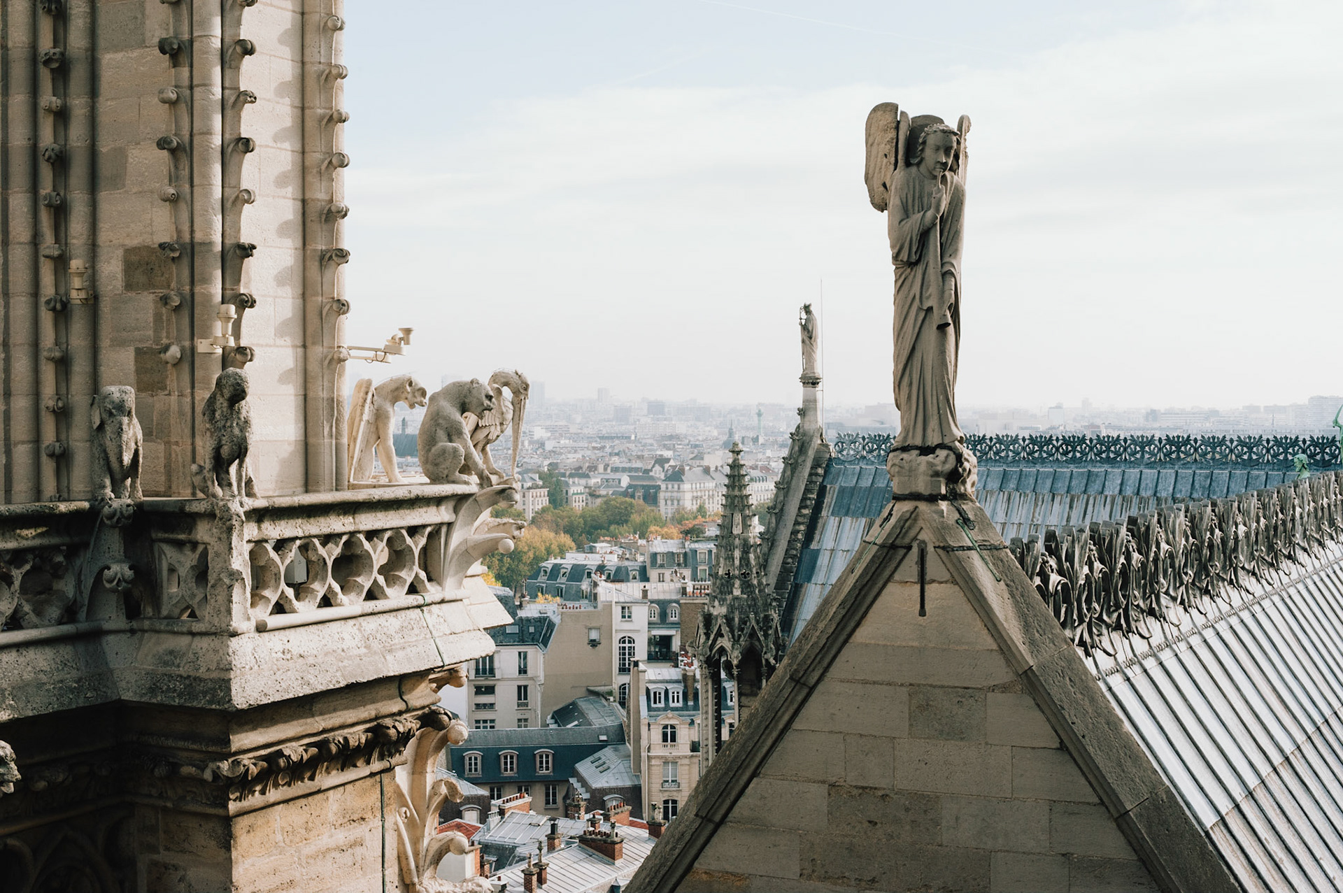 An angel, a saint, and several gargoyles atop Notre-Dame