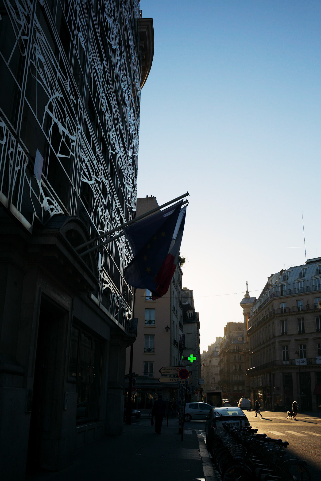 Une femme et son chien traversent la rue Saint-Honoré