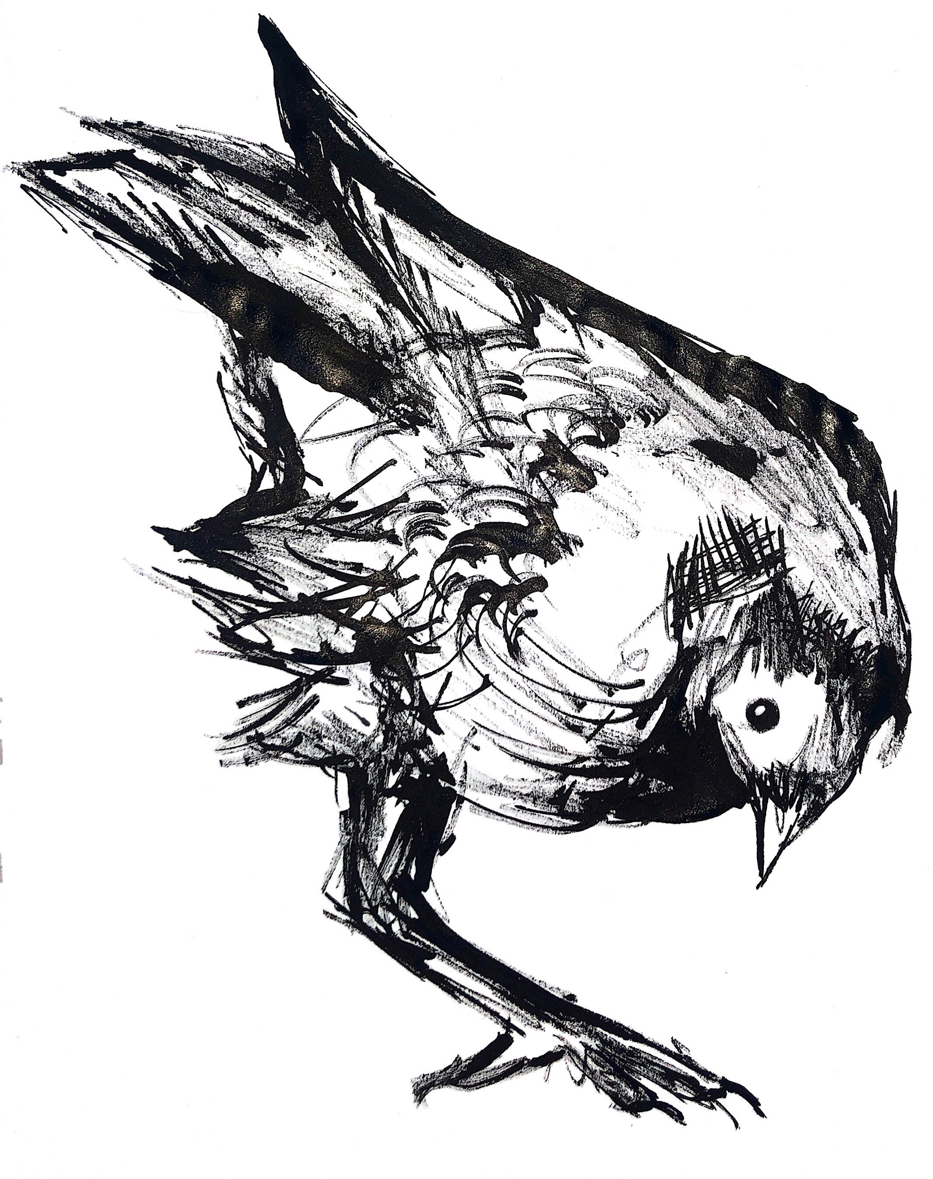 crow with ink and bamboo pen