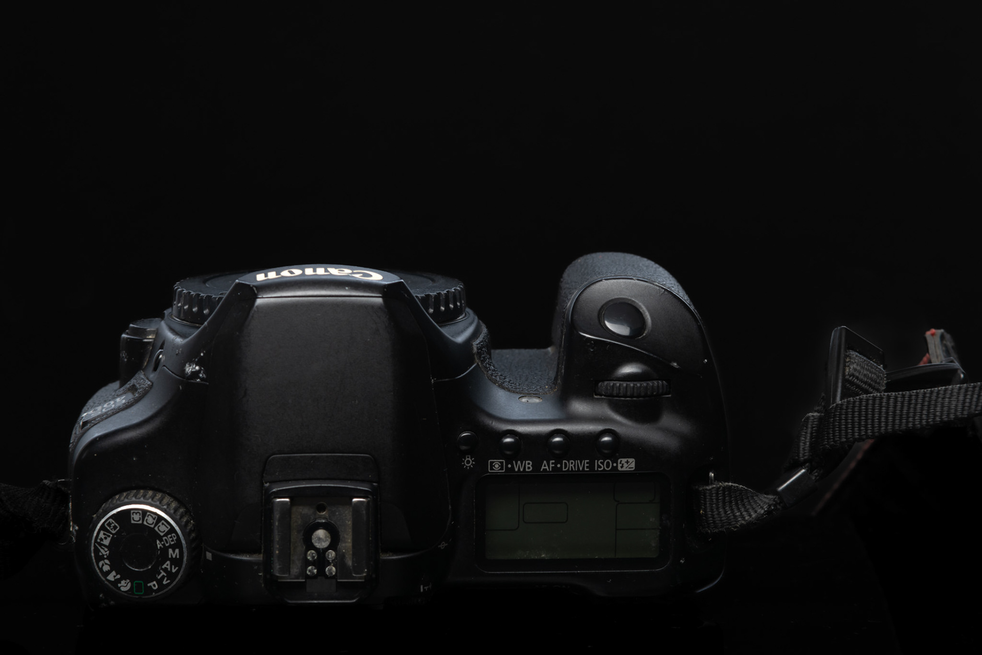 Canon 40D
