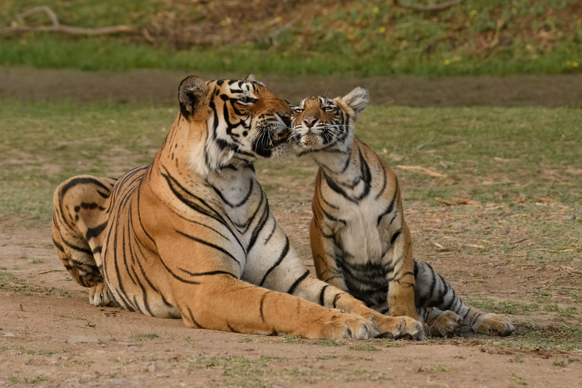 I KNOW YOU LOVE ME REALLY