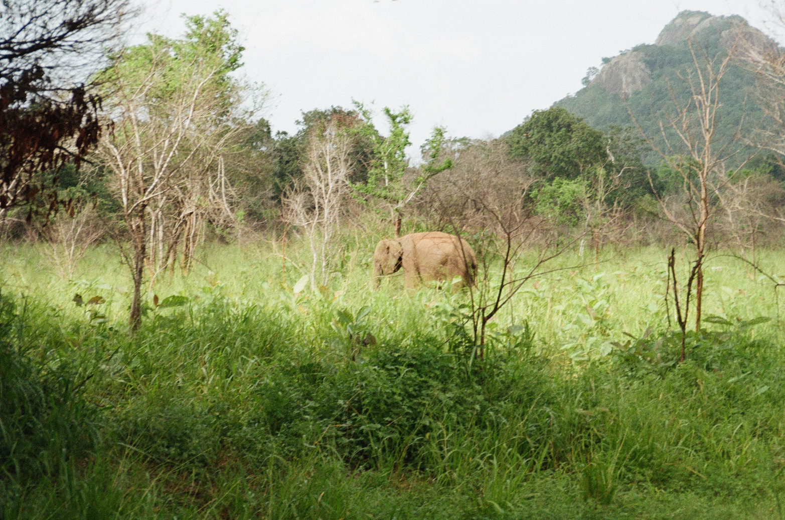 2023, Sri Lanka