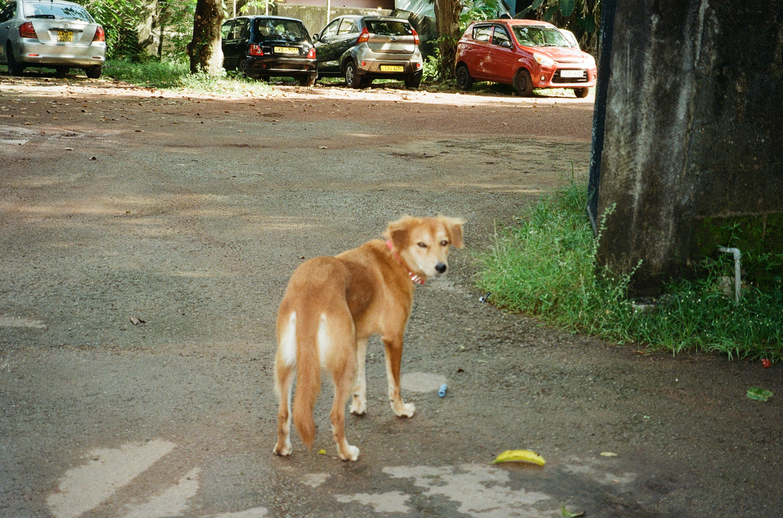 2023, Sri Lanka