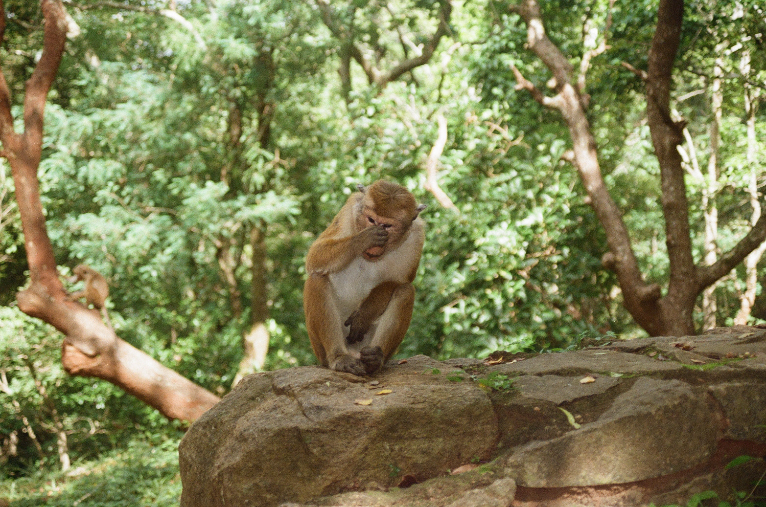 2023, Sri Lanka