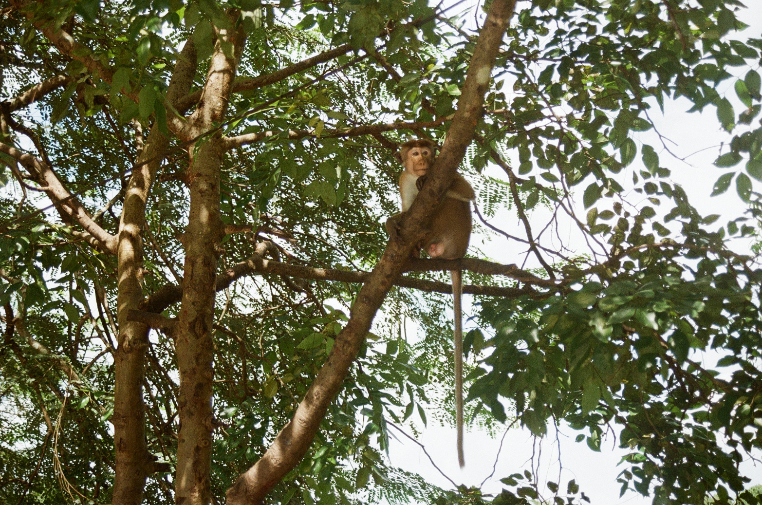 Sri Lanka, 2023