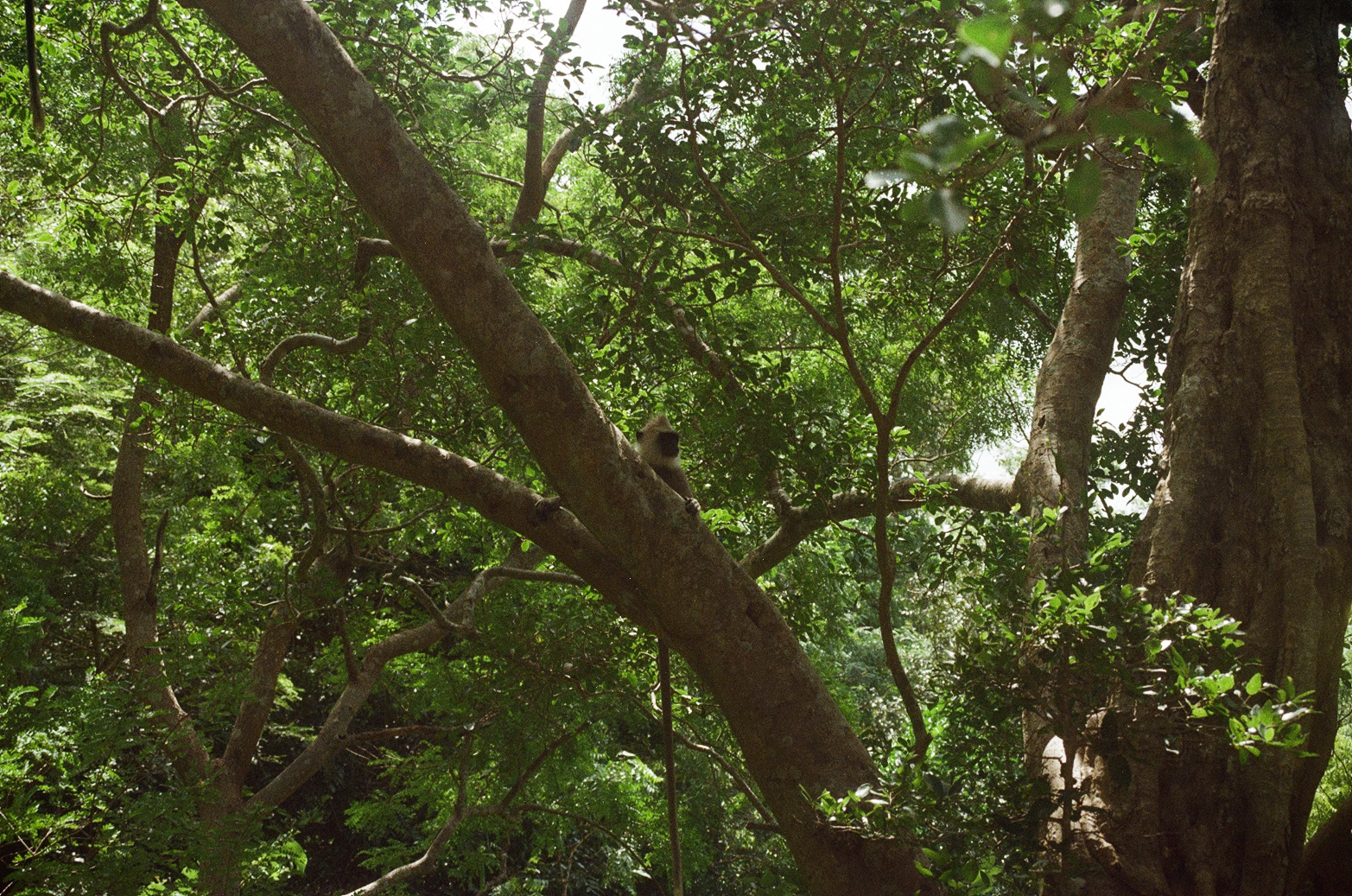 2023, Sri Lanka