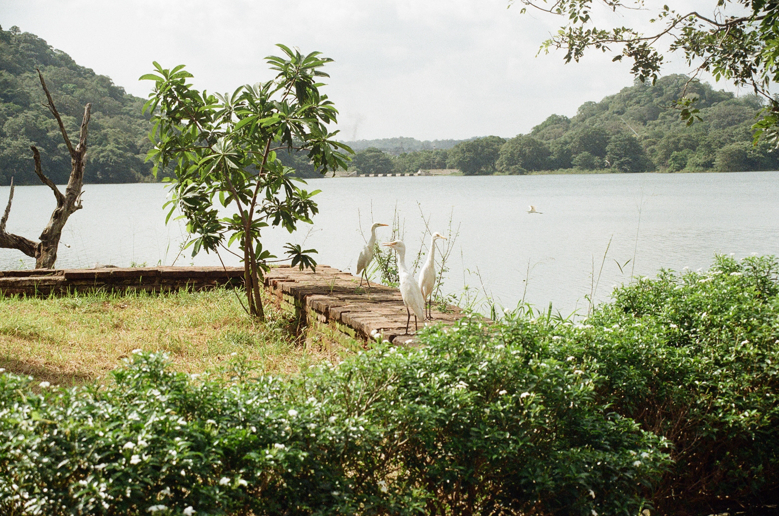 2023, Sri Lanka