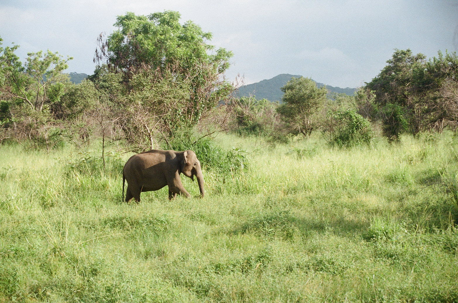 2023, Sri Lanka