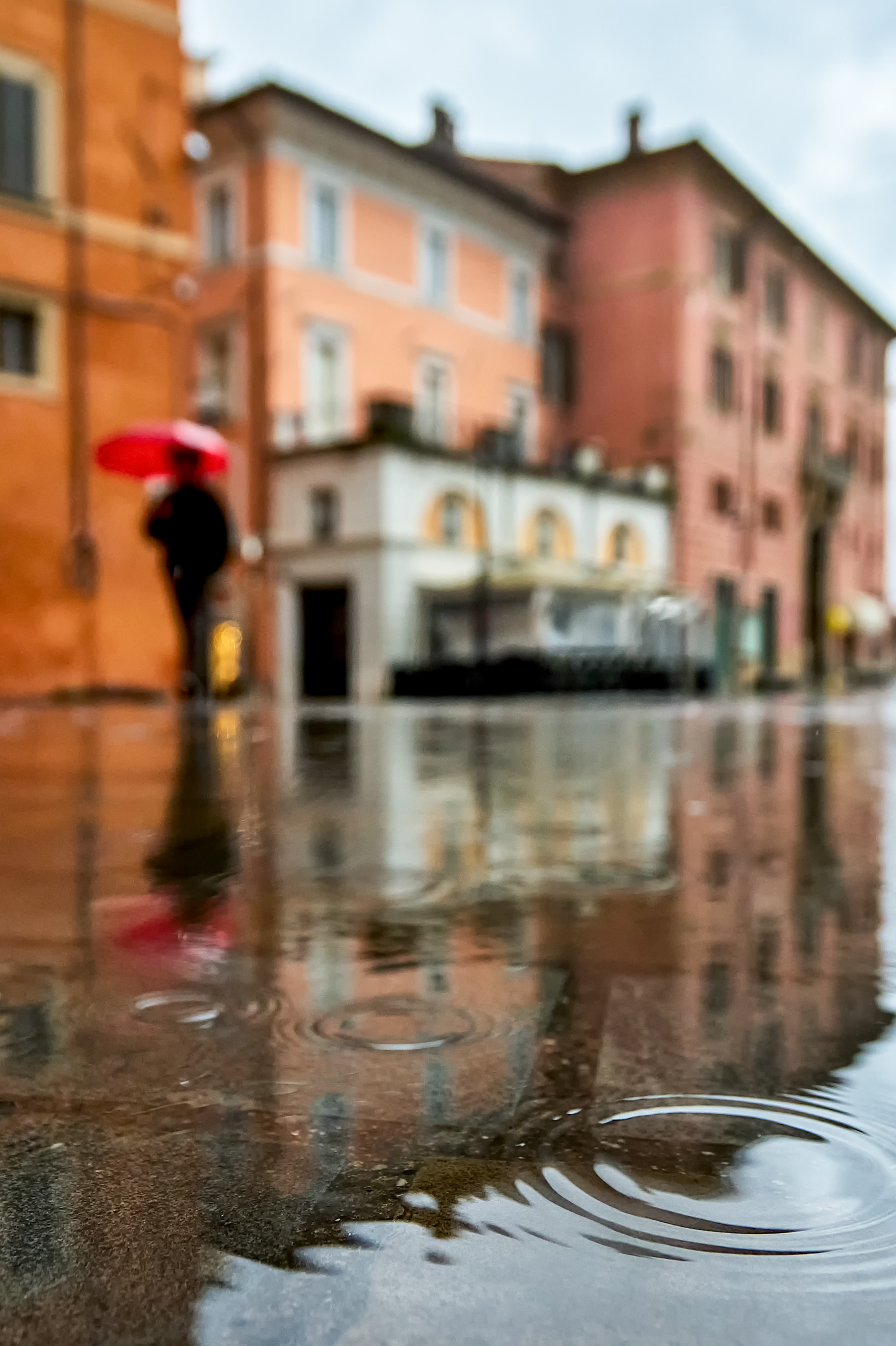 Out of Focus
