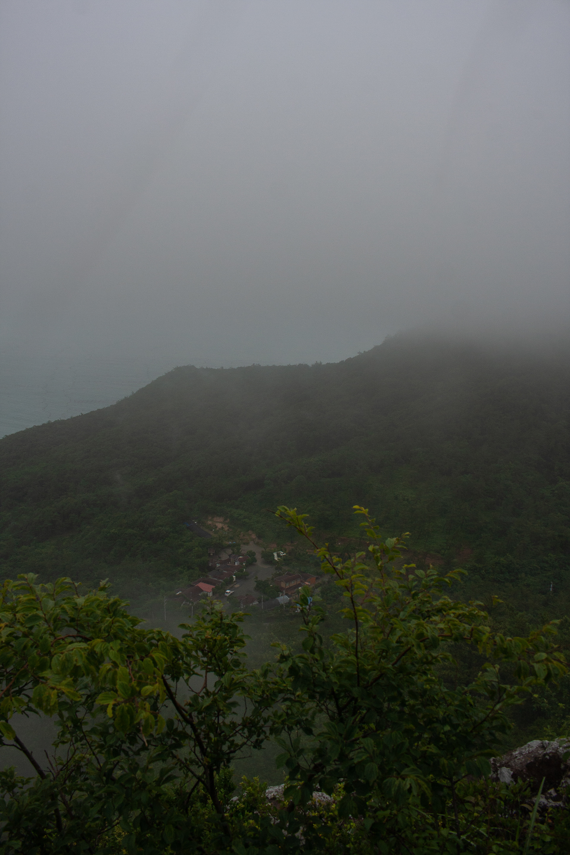 A fishing town hides in a valley under waves of fog