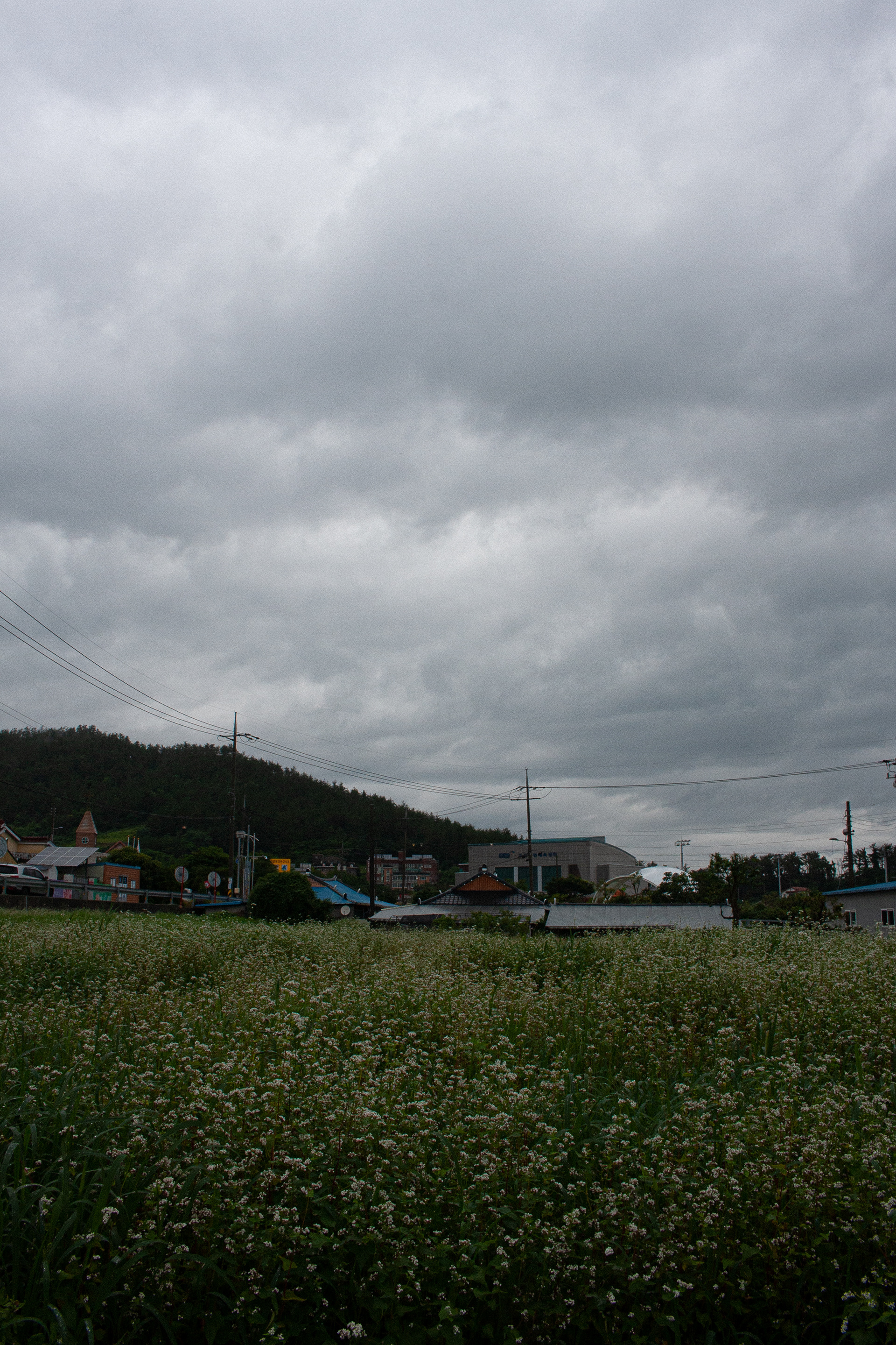 The sweeping majesty of a brewing summer storm
