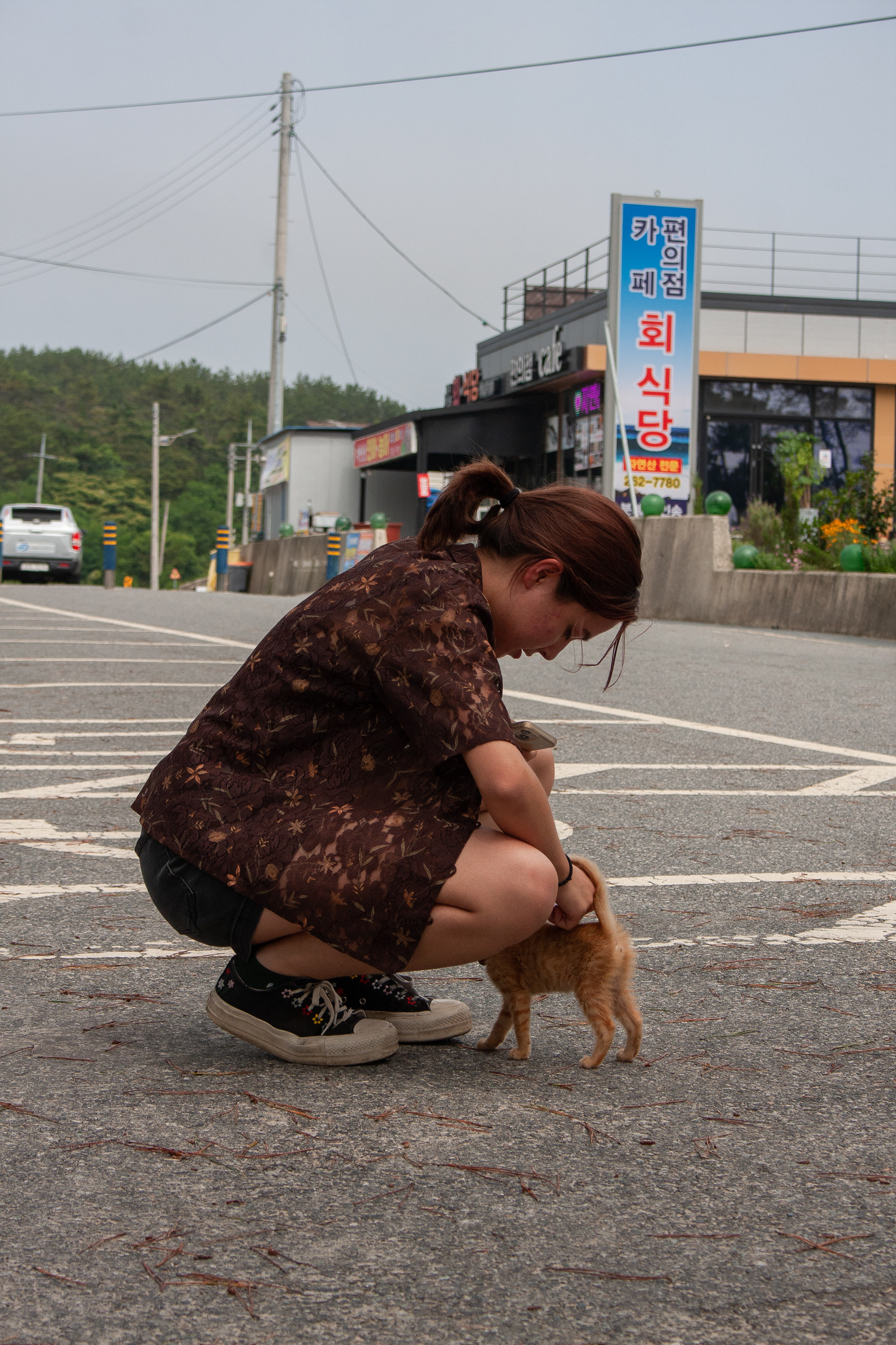 Unexpected meeting with a ginger friend