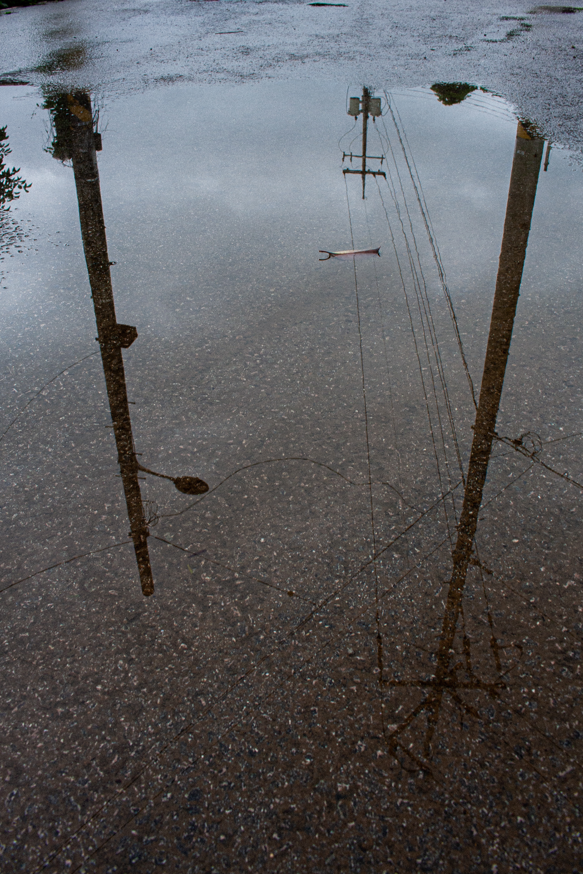 Tranquility before the rain starts again