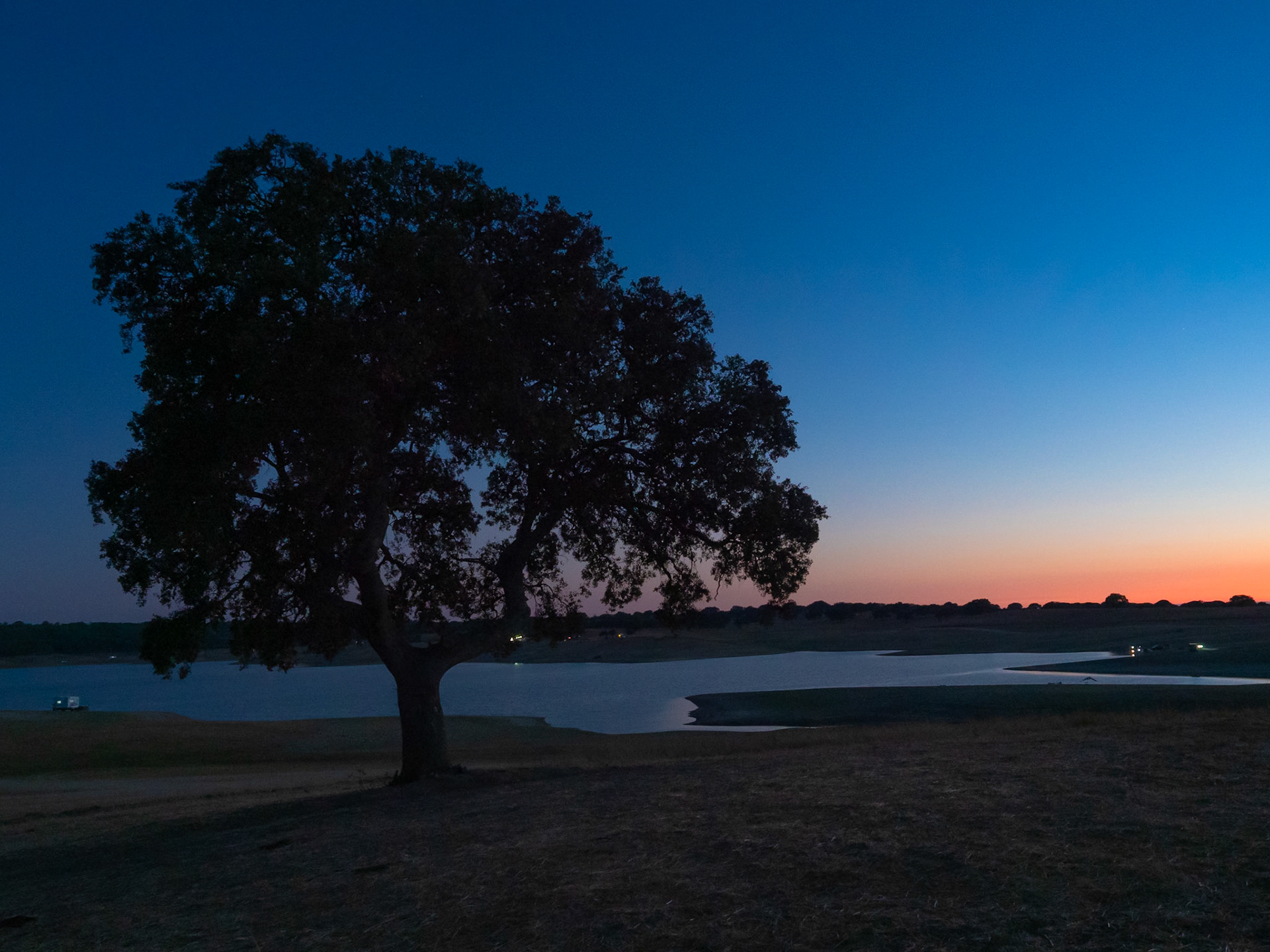 Lone tree on a hill next to the Pego do Altar reservoir at dusk, near Santa Susana