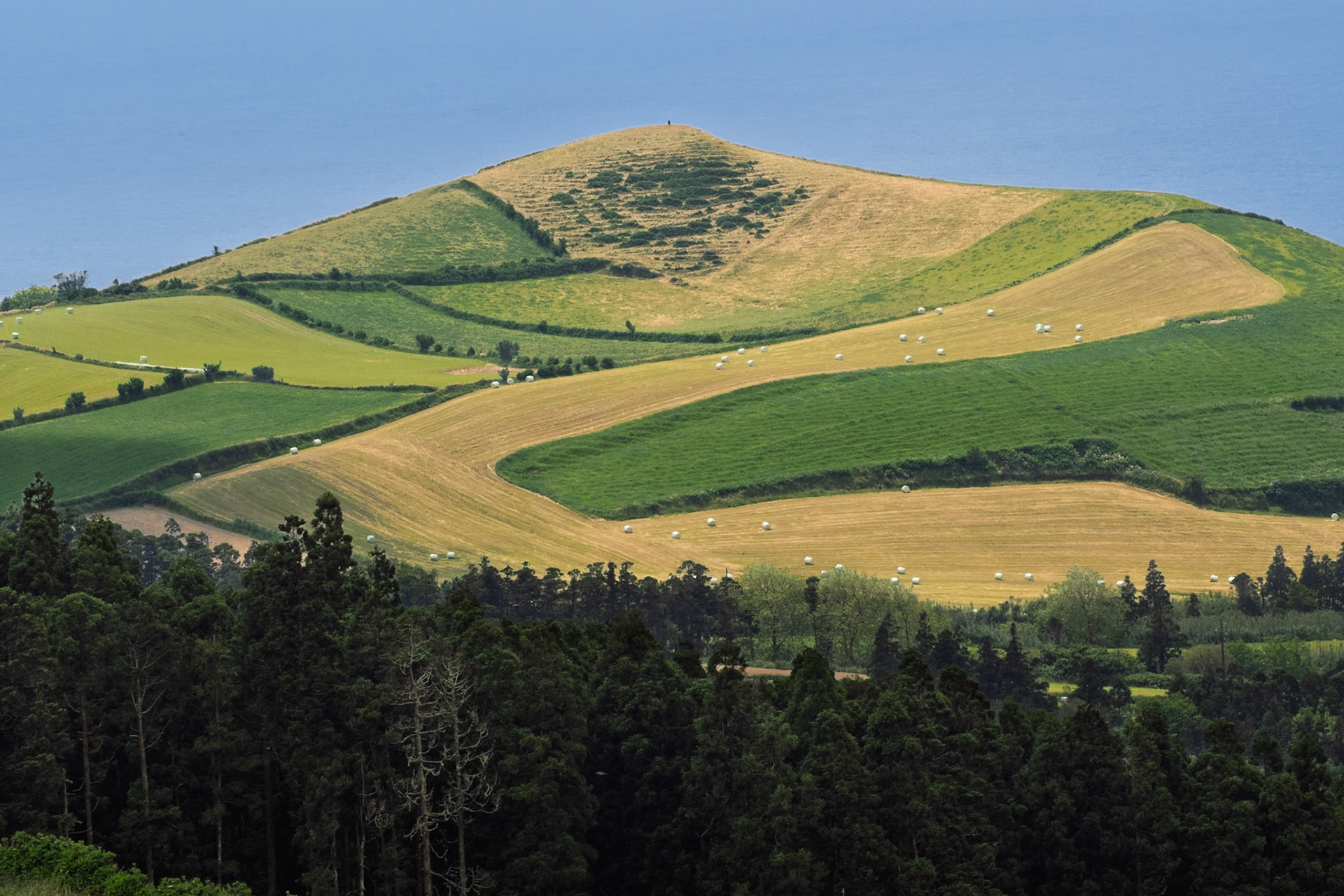 Patchwork fields with hay bales on rolling hills overlooking the Atlantic Ocean, characteristic of the Azores landscape.