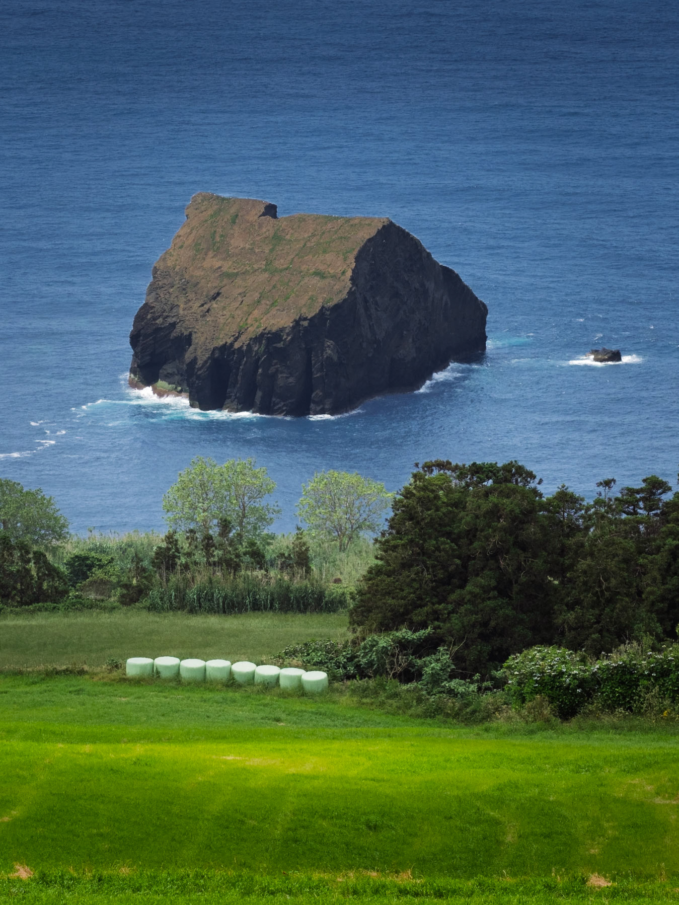 The distinctive Ilhéu dos Mosteiros, a small volcanic islet off the coast of Pico Island in the Azores, stands prominently in the Atlantic Ocean, in contrast to the vibrant green agricultural field.