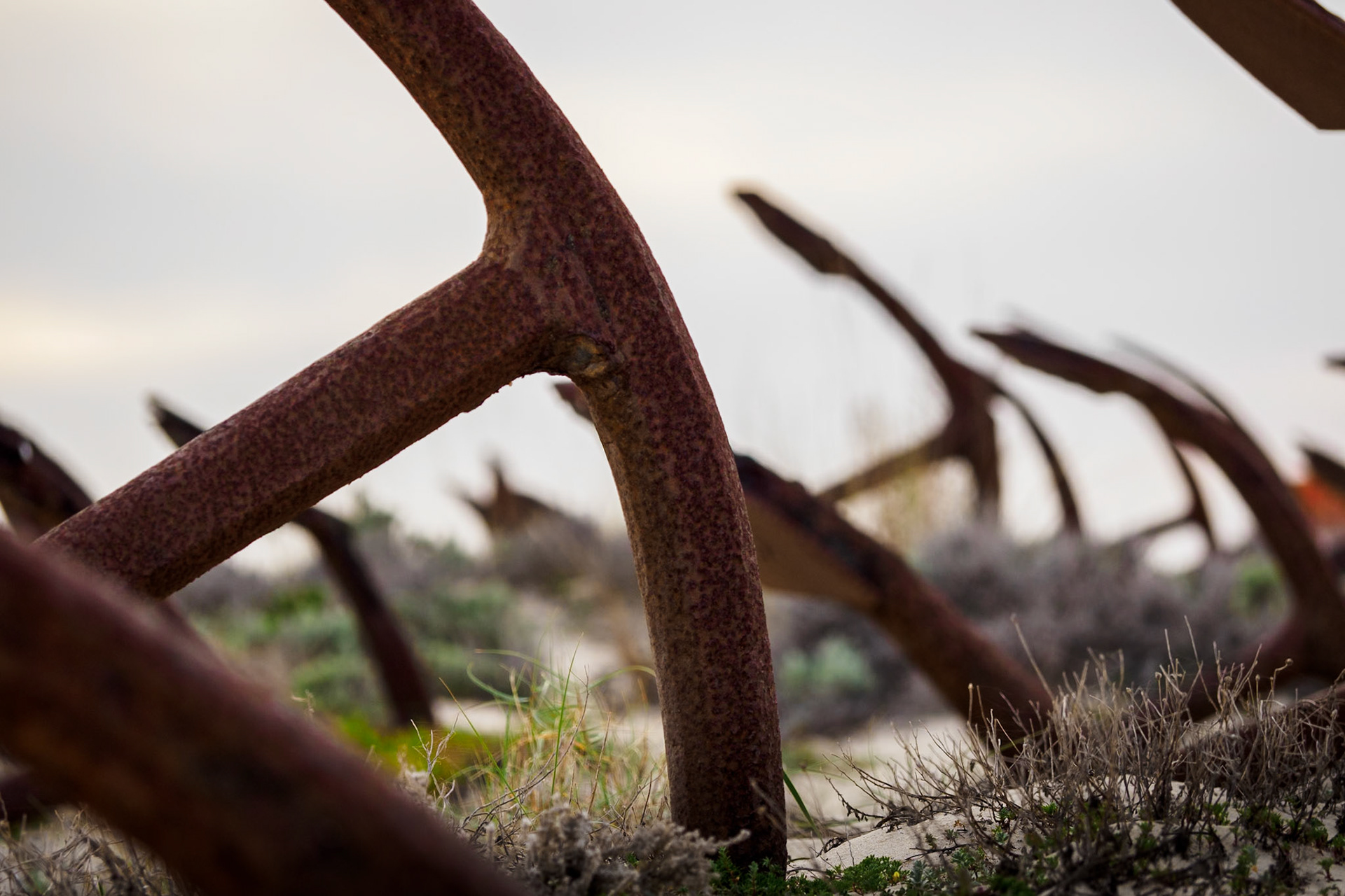 On a beach, near Tavira, Portugal, lies a 'graveyard' of anchors, a memorial to a long-gone tuna fishing industry, destroyed by their own success and overfishing. A sombre reminder of our precious world.