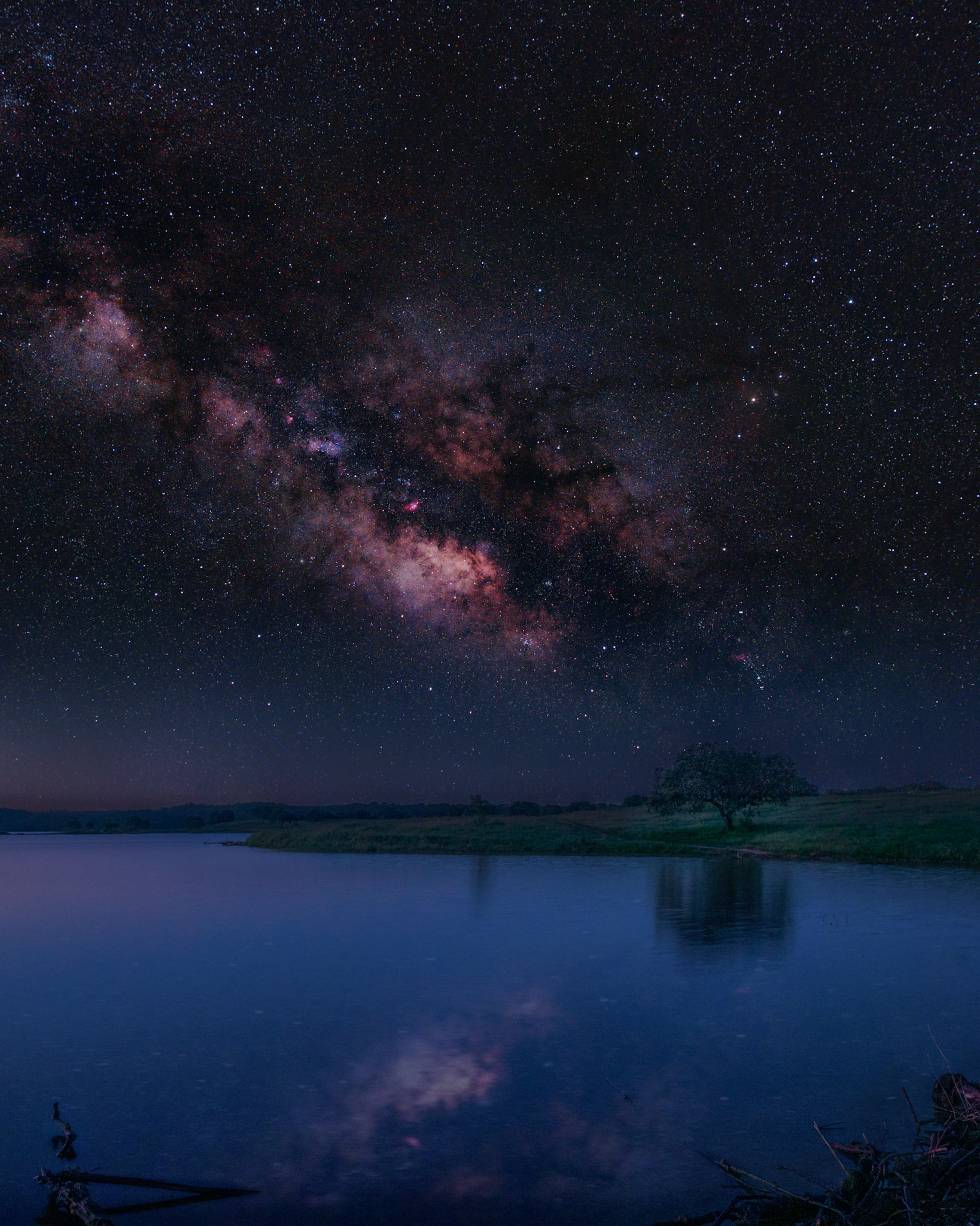 The Milky Way rises above a lone tree beside the Pego do Altar reservoir lake, reflecting off the mirror surface of the water.