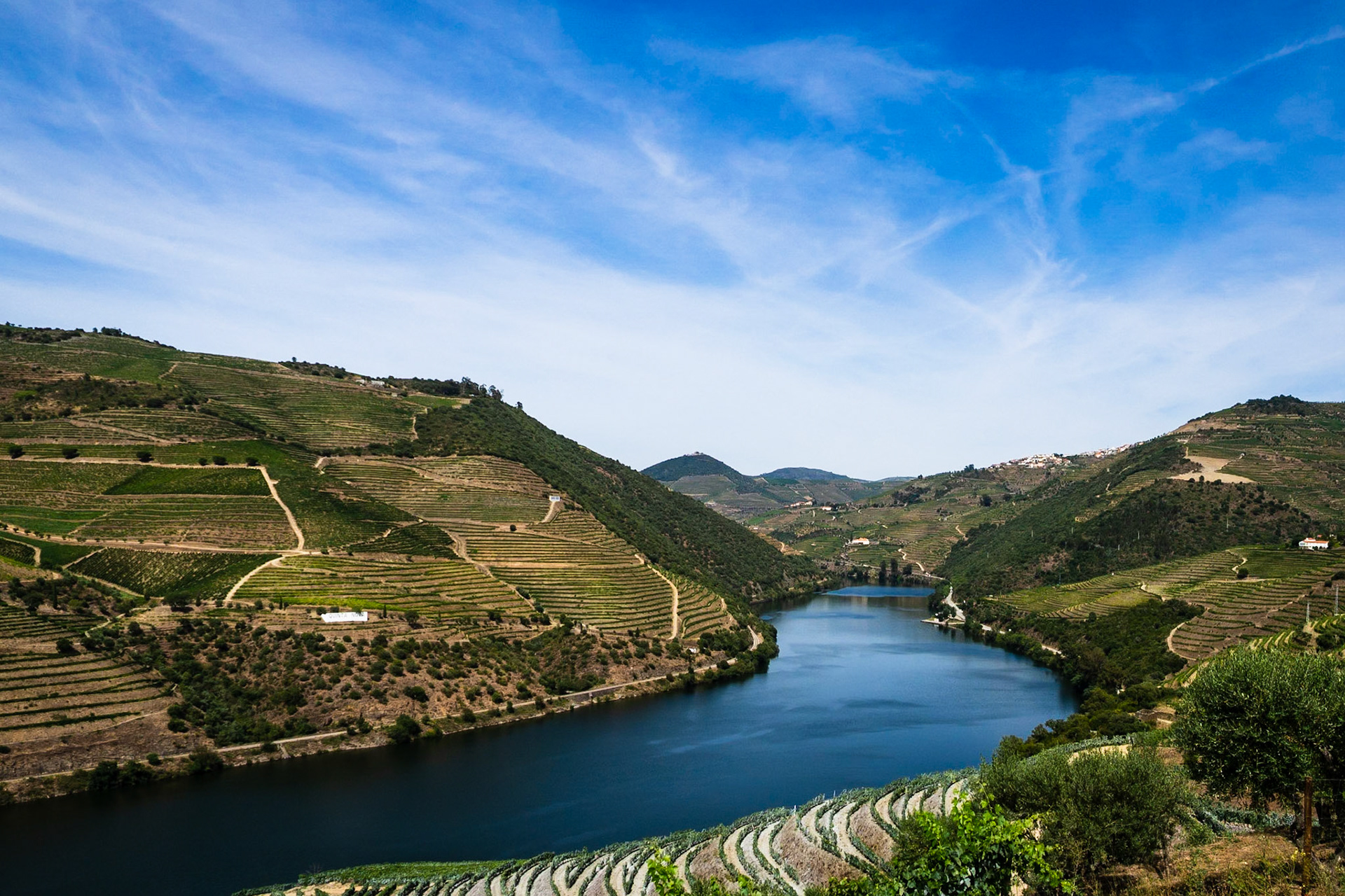 The Douro River winding through the terraced vineyards of the Douro Valley