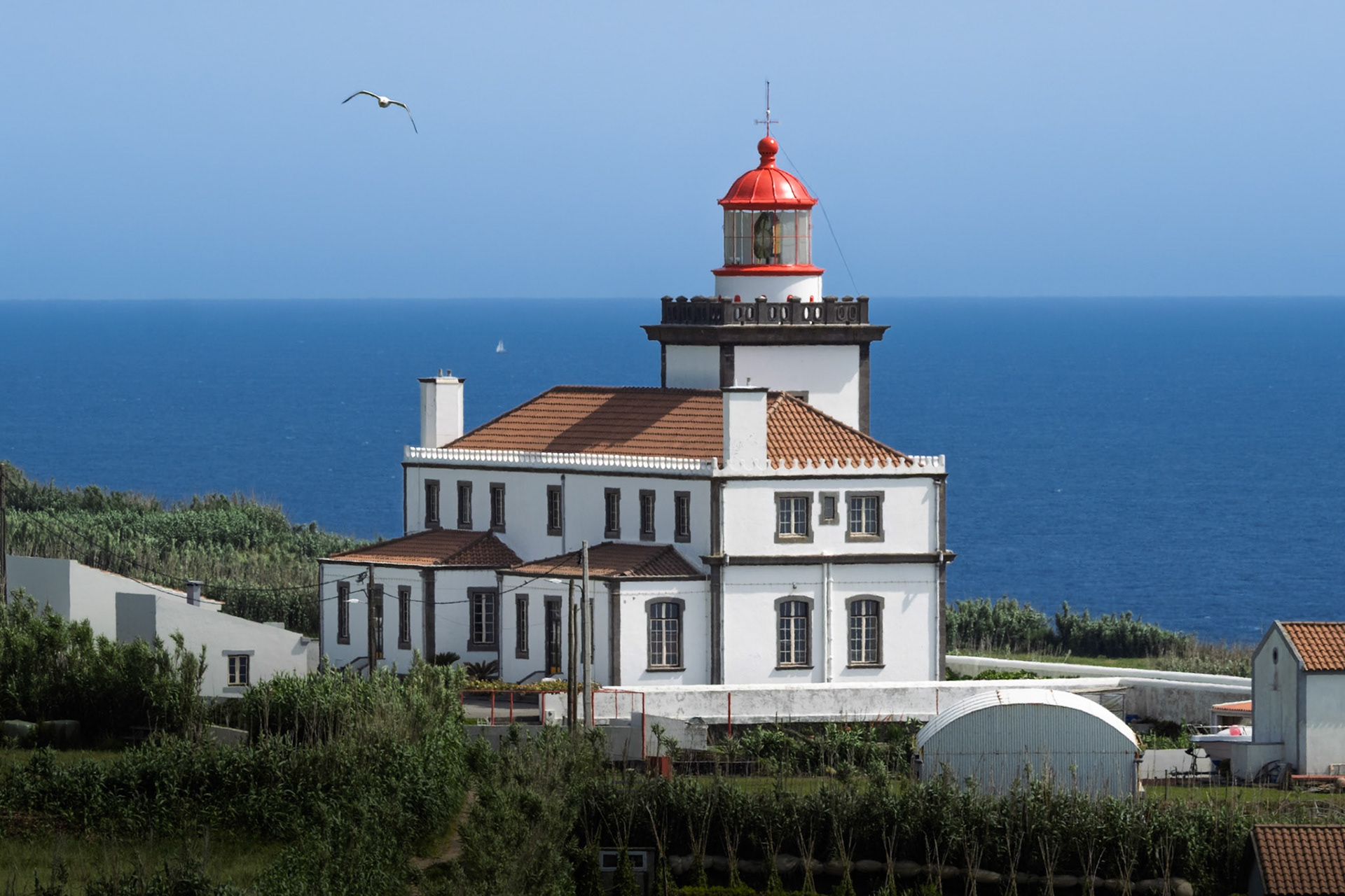 The iconic Farol da Ferraria lighthouse, with its distinctive white structure and red lantern room, stands majestically on the rugged coastline of São Miguel Island in the Azores, Portugal. The deep blue Atlantic Ocean stretches to the horizon under a clear sky, with a seagull soaring overhead and a distant sailboat.