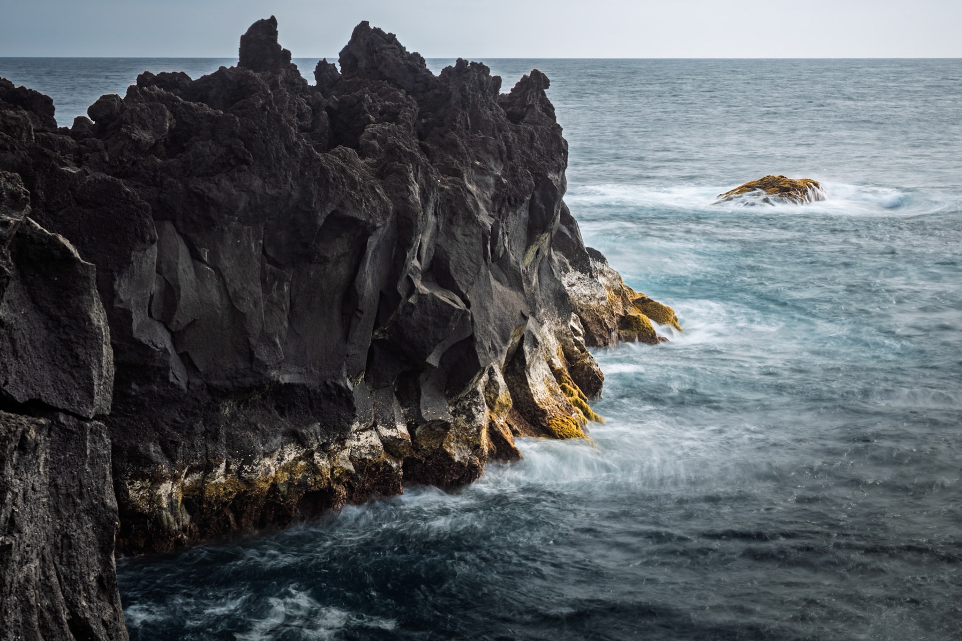 The dramatic dark volcanic rock formations meet the vibrant blue waves of the Atlantic Ocean at Ponta da Ferraris, on the western coat of São Miguel island. The yellow algae (or moss) creates a striking contrast against the jagged rocks.